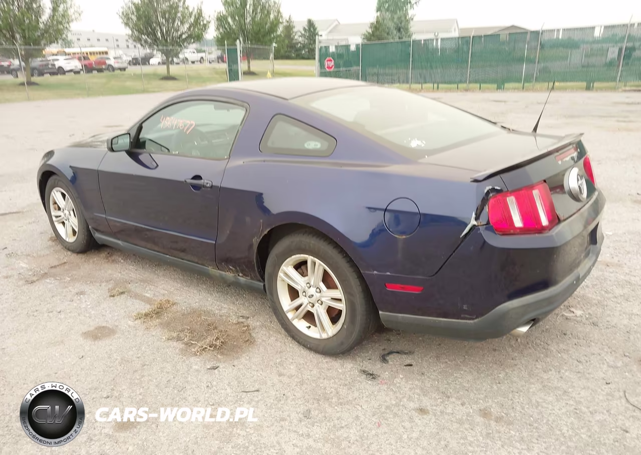 2011 Ford Mustang V6 VIN:1ZVBP8AM6B5157216 - 3