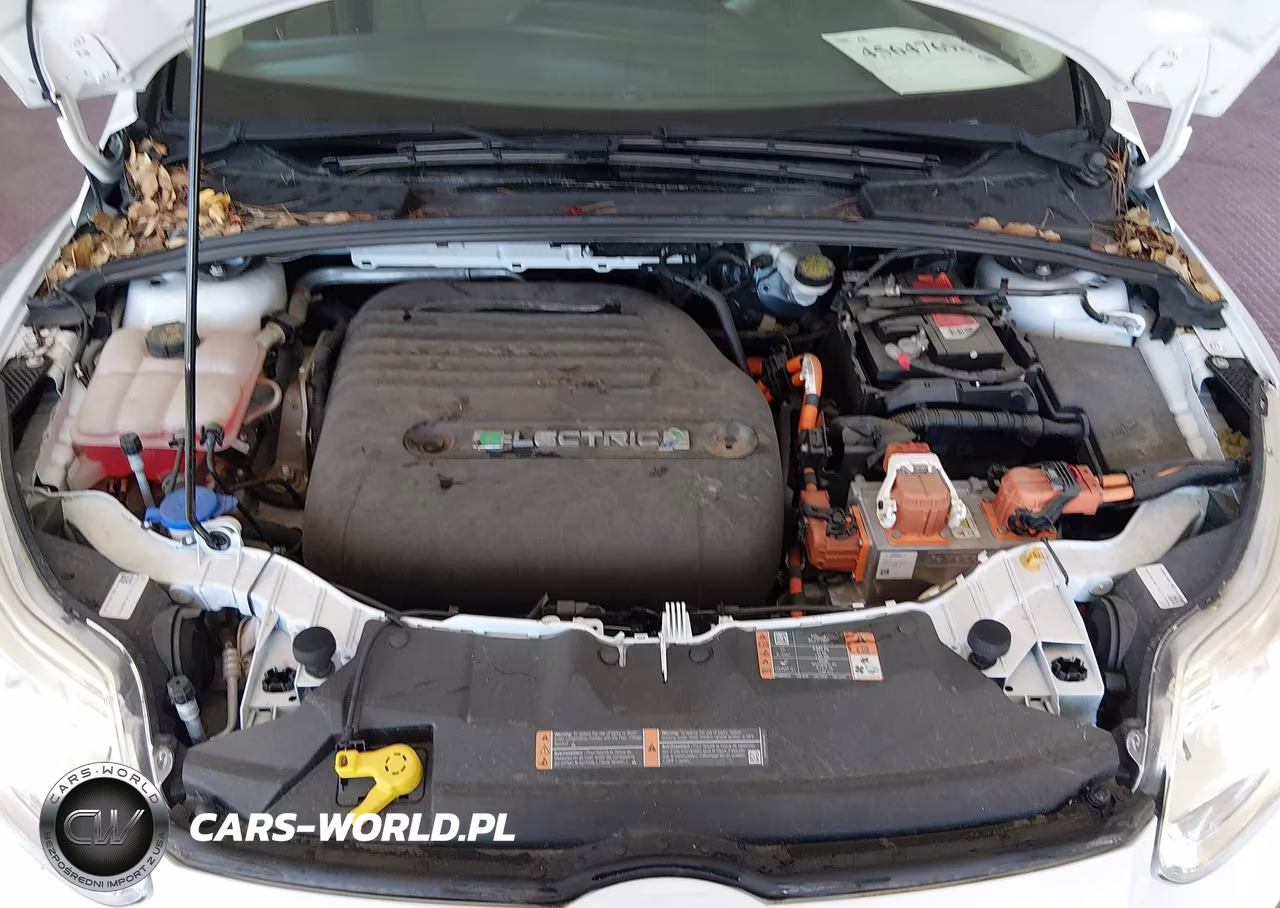 2018 Ford Focus Electric VIN:1FADP3R49JL296114 - 10