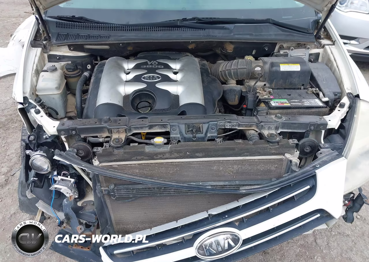 2006 Kia Sedona Ex-Lx VIN:KNDMB233866071773 - 10