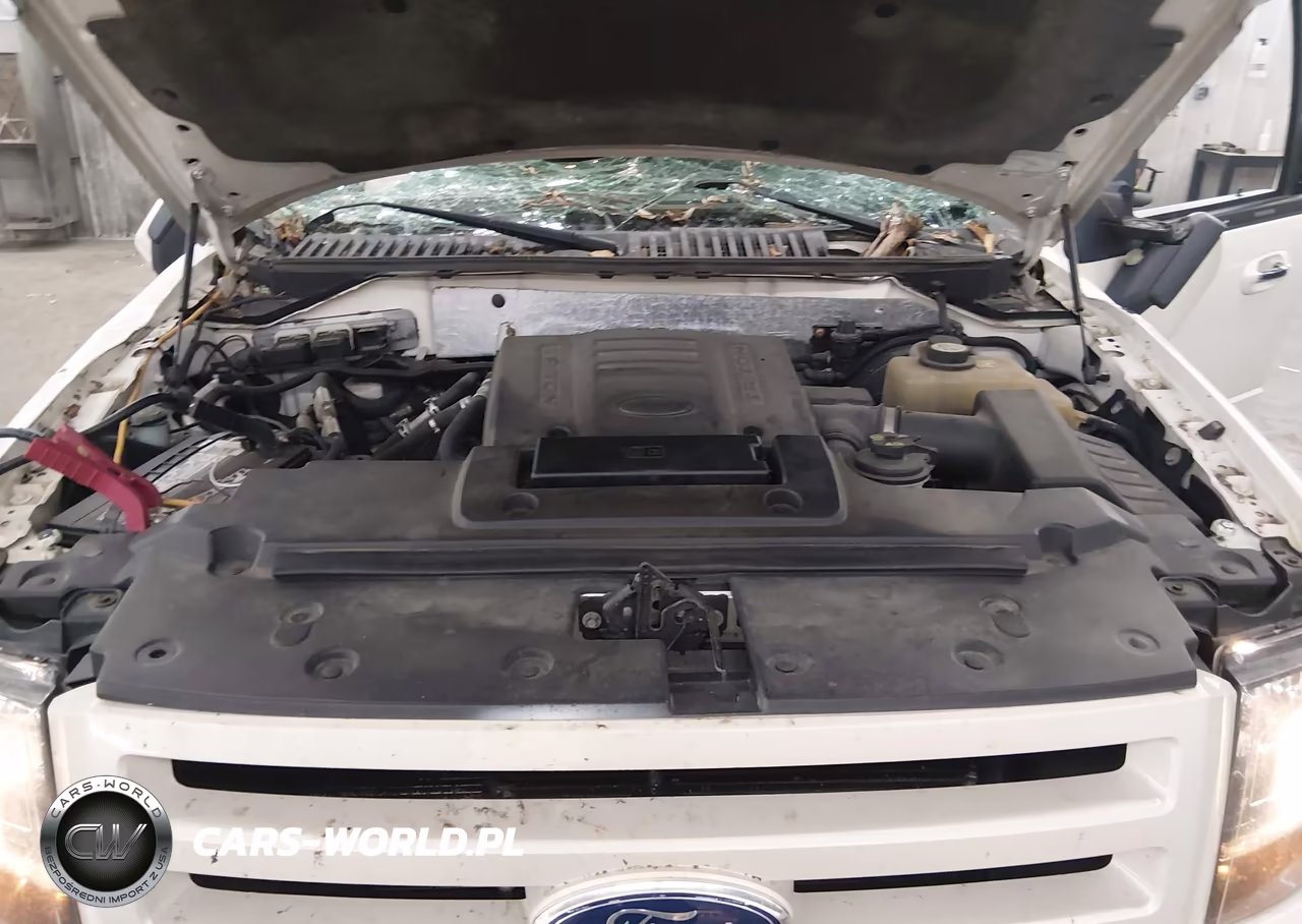 2007 Ford Expedition Limited VIN:1FMFU20587LA14156 - 10