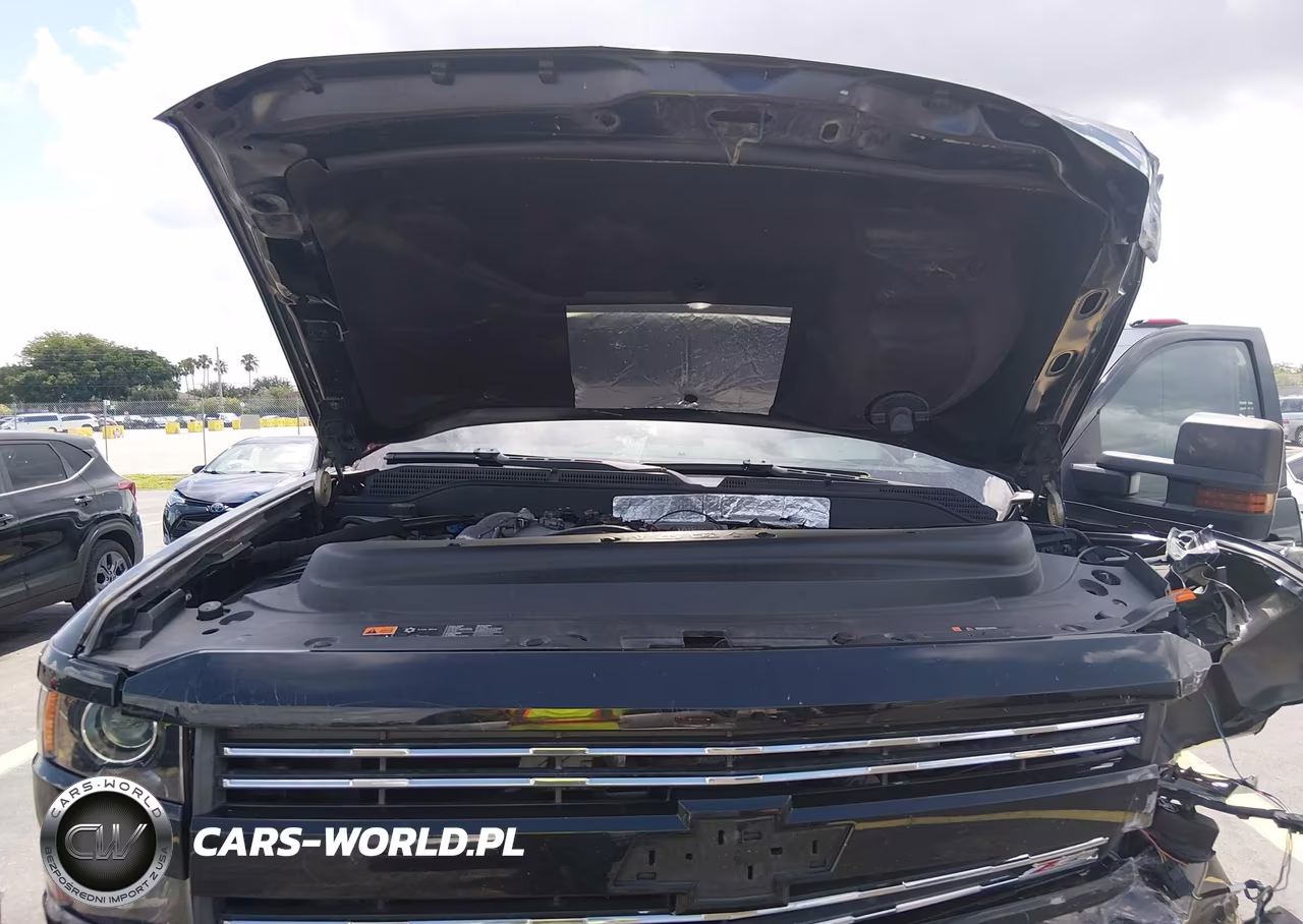 2018 Chevrolet Silverado 2500Hd Ltz VIN:1GC1KWEY6JF150614 - 10
