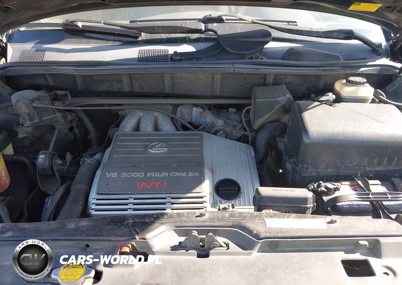 2002 Lexus Rx 300 VIN:JTJHF10U120253189 - 10