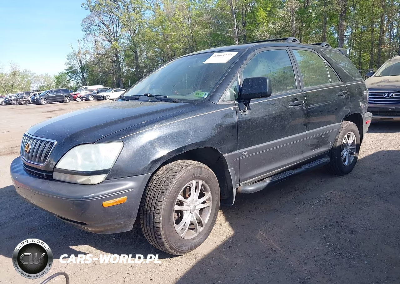 2002 Lexus Rx 300 VIN:JTJHF10U120253189 - 2