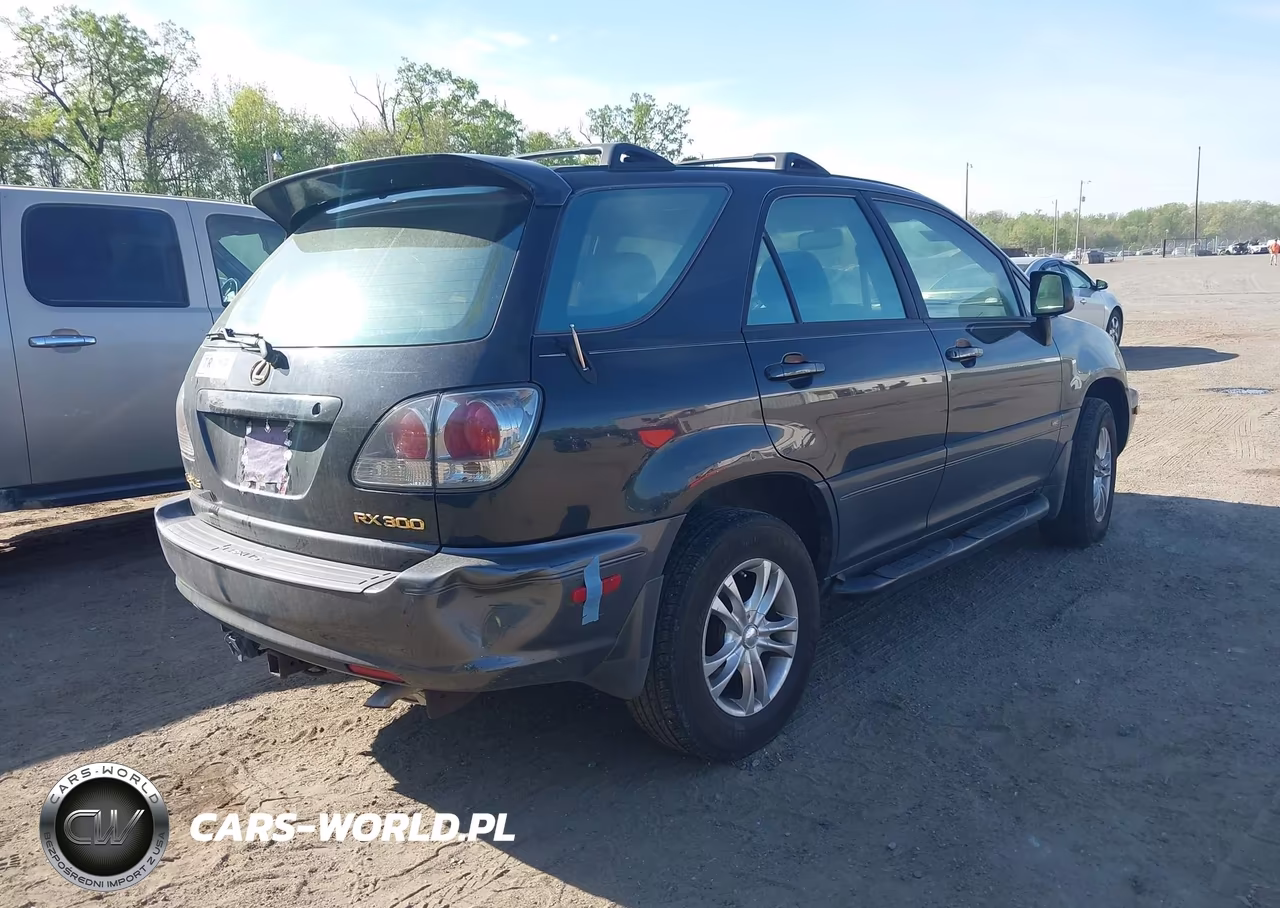 2002 Lexus Rx 300 VIN:JTJHF10U120253189 - 4