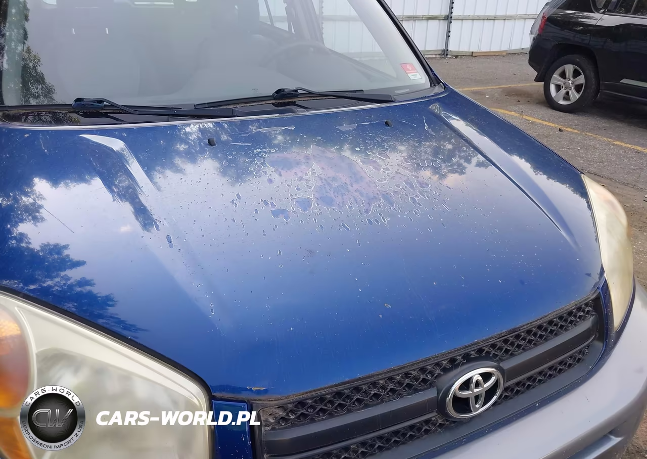 2005 Toyota Rav4 VIN:JTEGD20V150059765 - 6