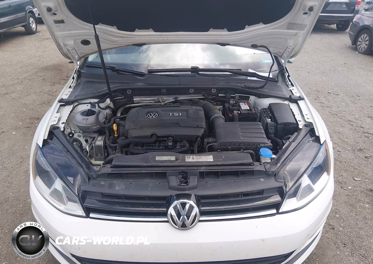2016 Volkswagen Golf Tsi S 4-Door VIN:3VW117AU5GM050618 - 10