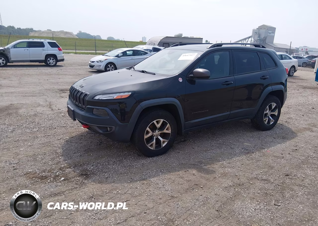 2014 Jeep Cherokee Trailhawk VIN:1C4PJMBBXEW311179 - 2