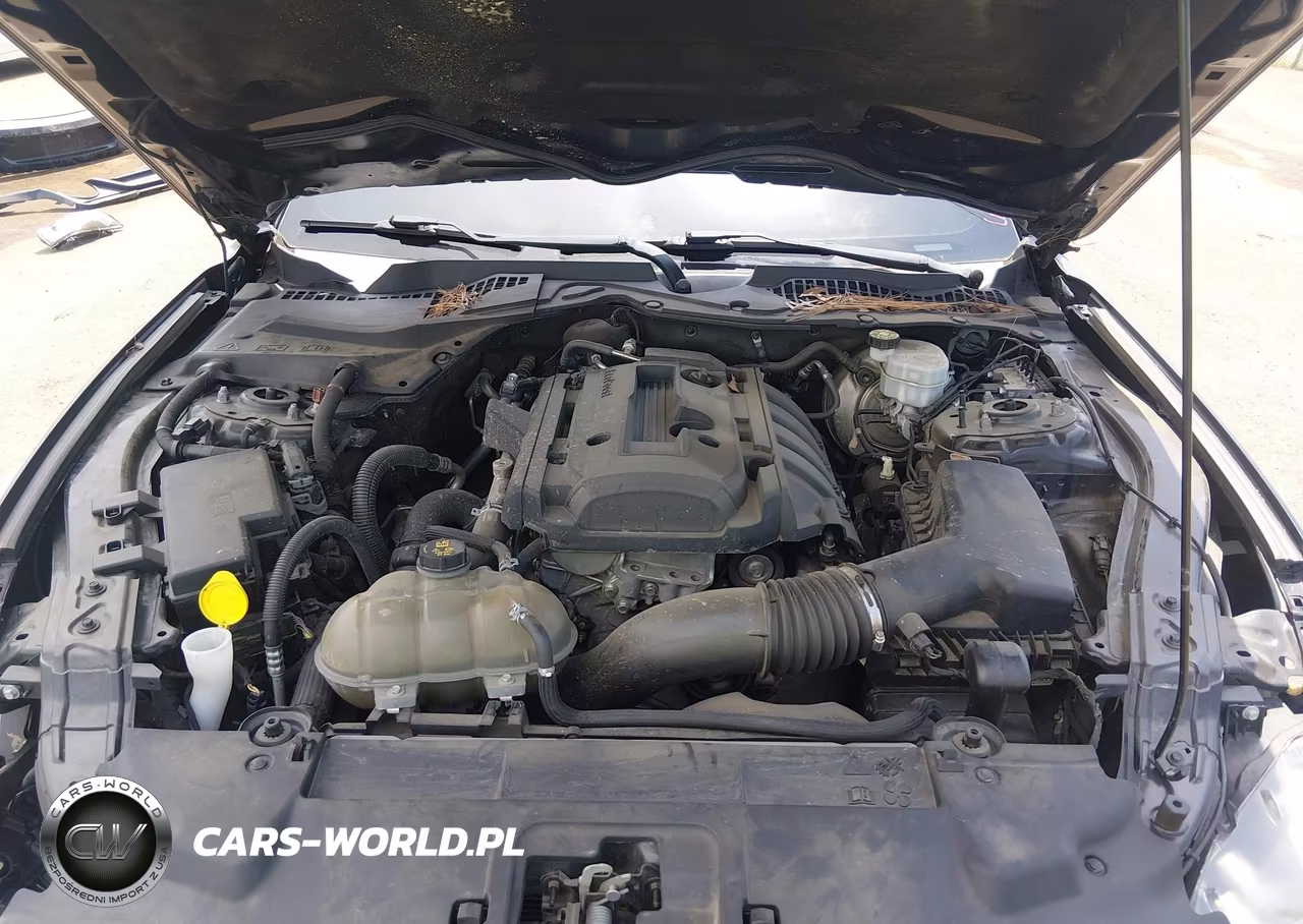 2019 Ford Mustang Ecoboost Premium VIN:1FA6P8TH3K5118092 - 10