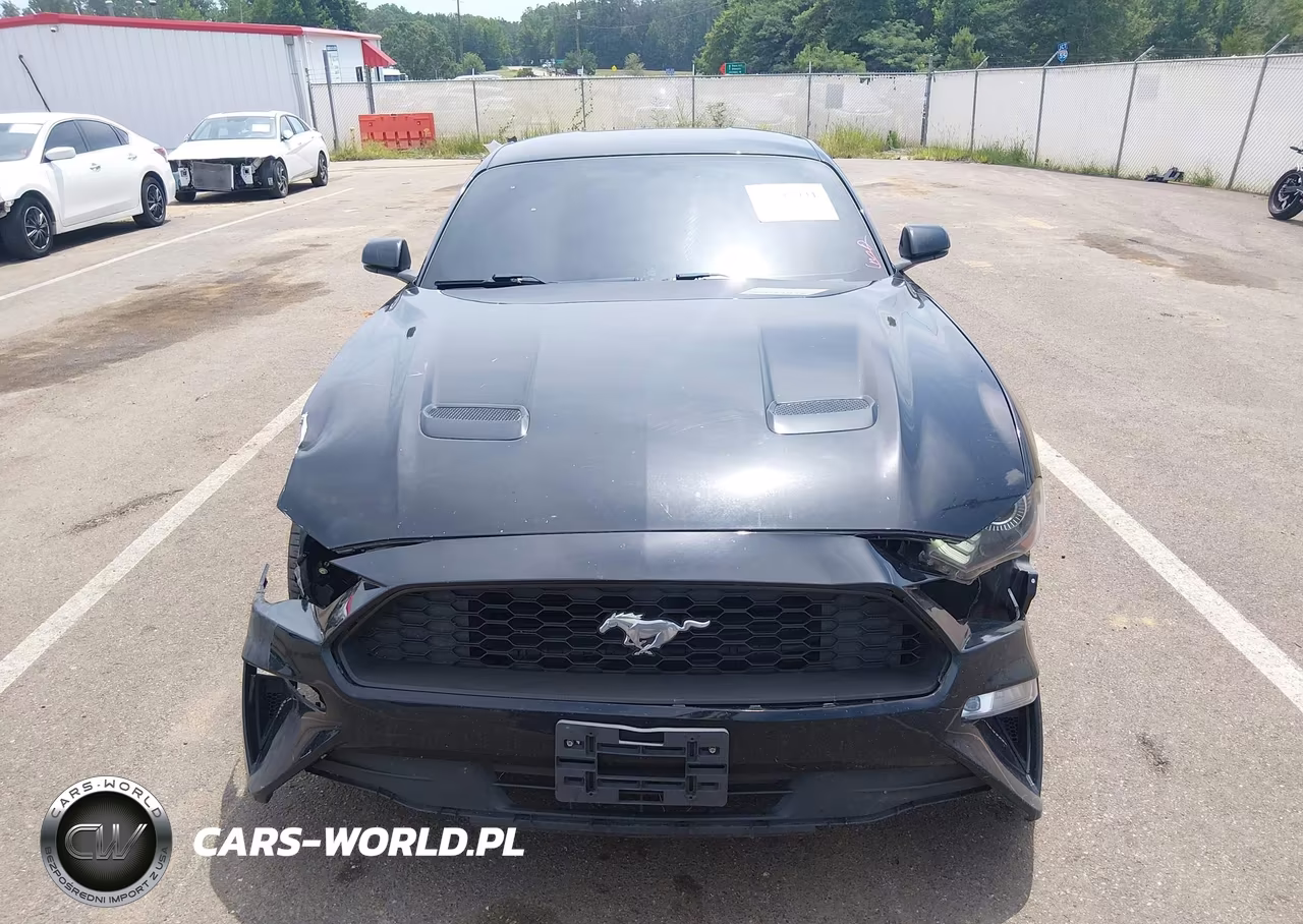 2019 Ford Mustang Ecoboost Premium VIN:1FA6P8TH3K5118092 - 13