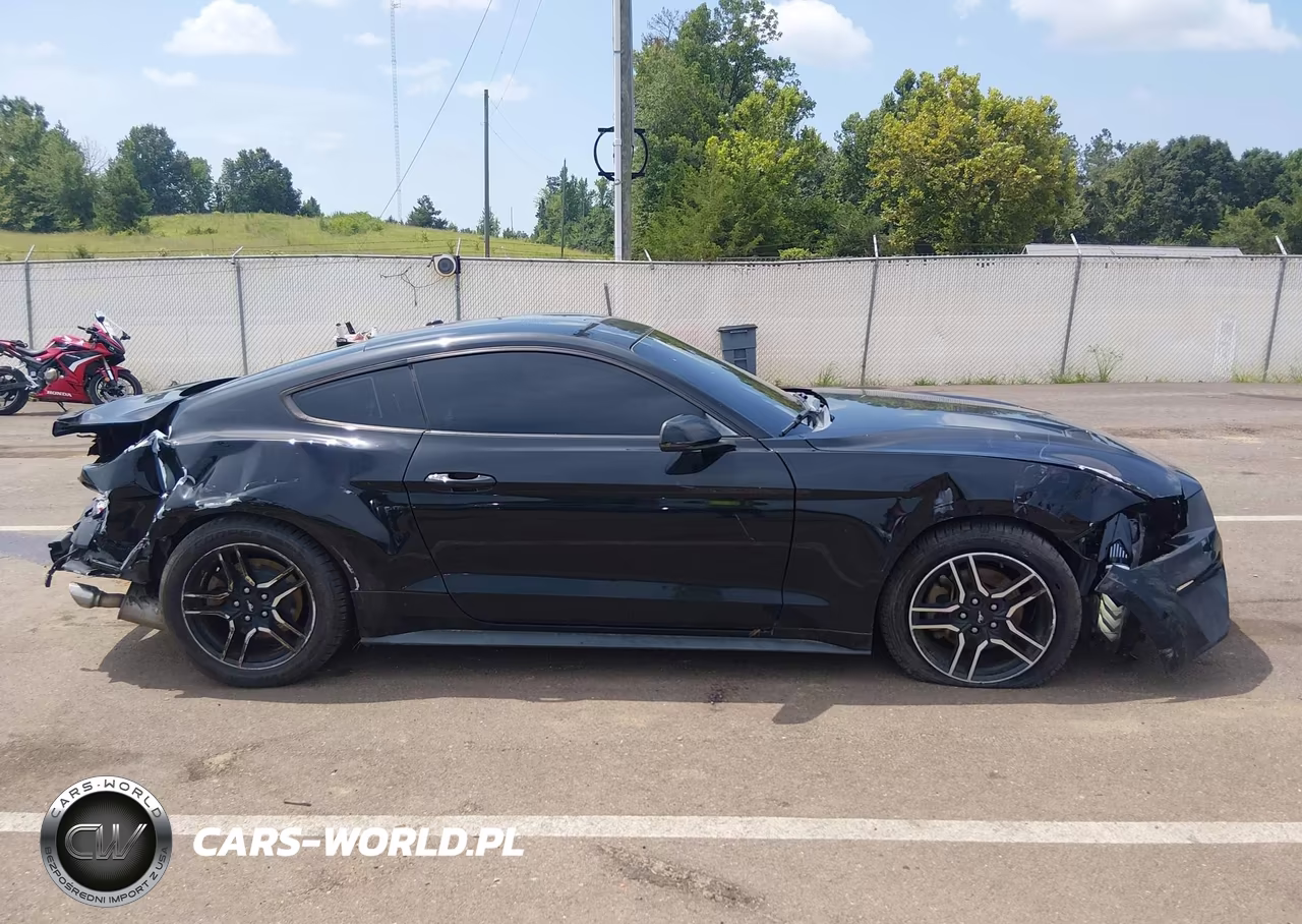 2019 Ford Mustang Ecoboost Premium VIN:1FA6P8TH3K5118092 - 14