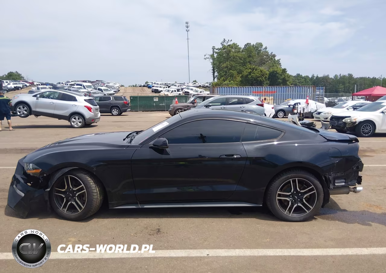 2019 Ford Mustang Ecoboost Premium VIN:1FA6P8TH3K5118092 - 15