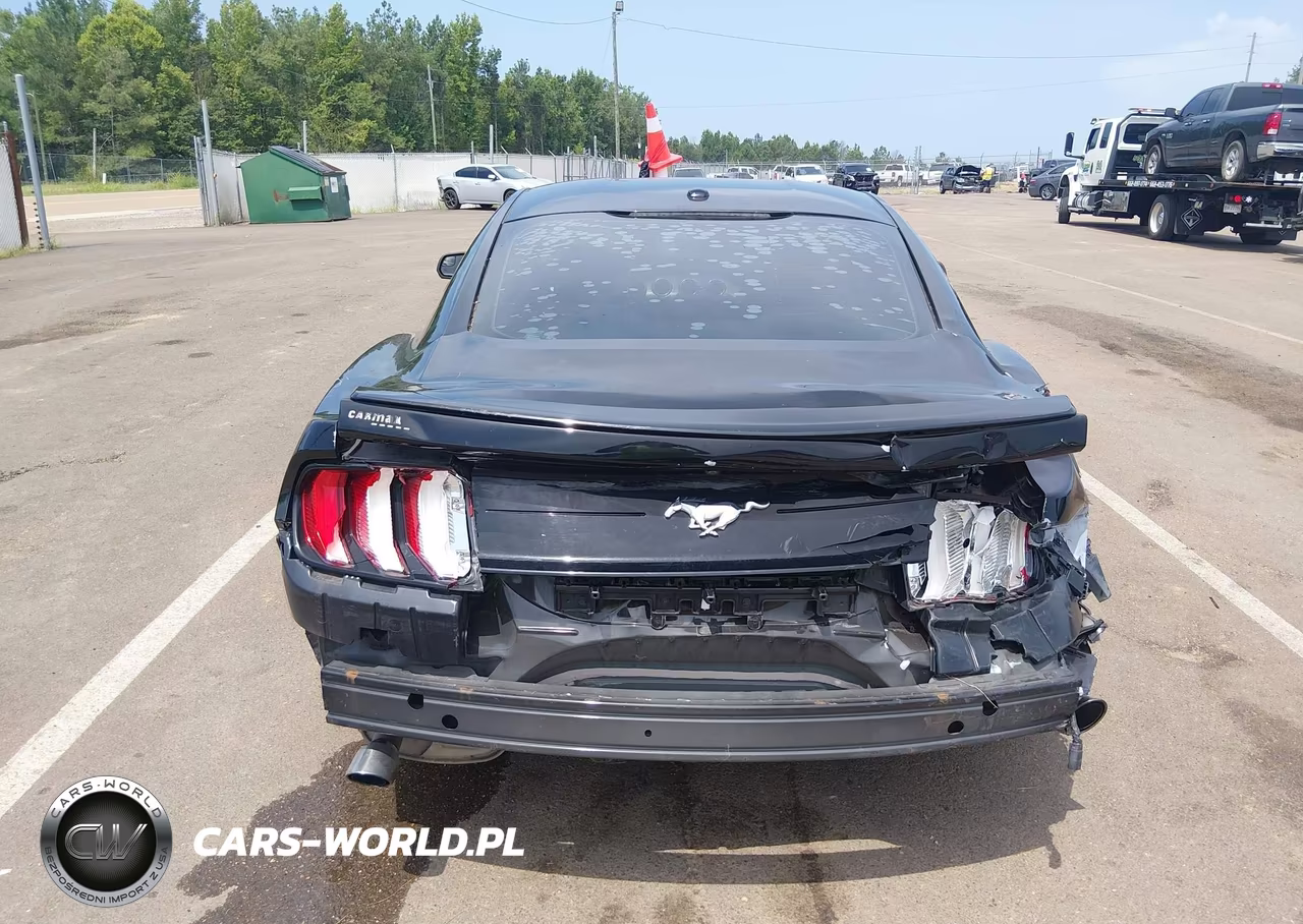 2019 Ford Mustang Ecoboost Premium VIN:1FA6P8TH3K5118092 - 17