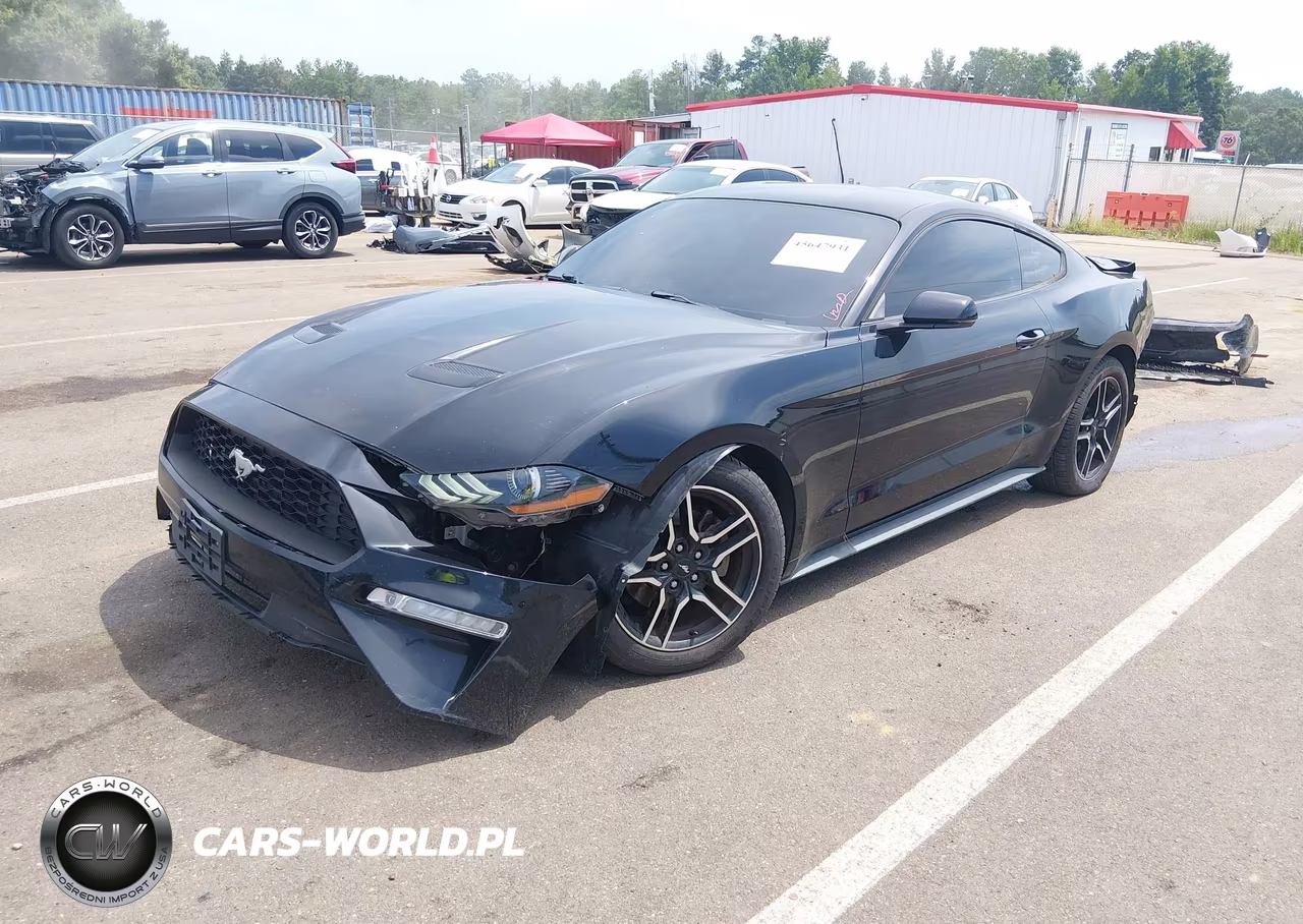 2019 Ford Mustang Ecoboost Premium VIN:1FA6P8TH3K5118092 - 2