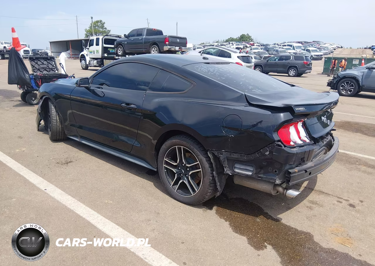 2019 Ford Mustang Ecoboost Premium VIN:1FA6P8TH3K5118092 - 3