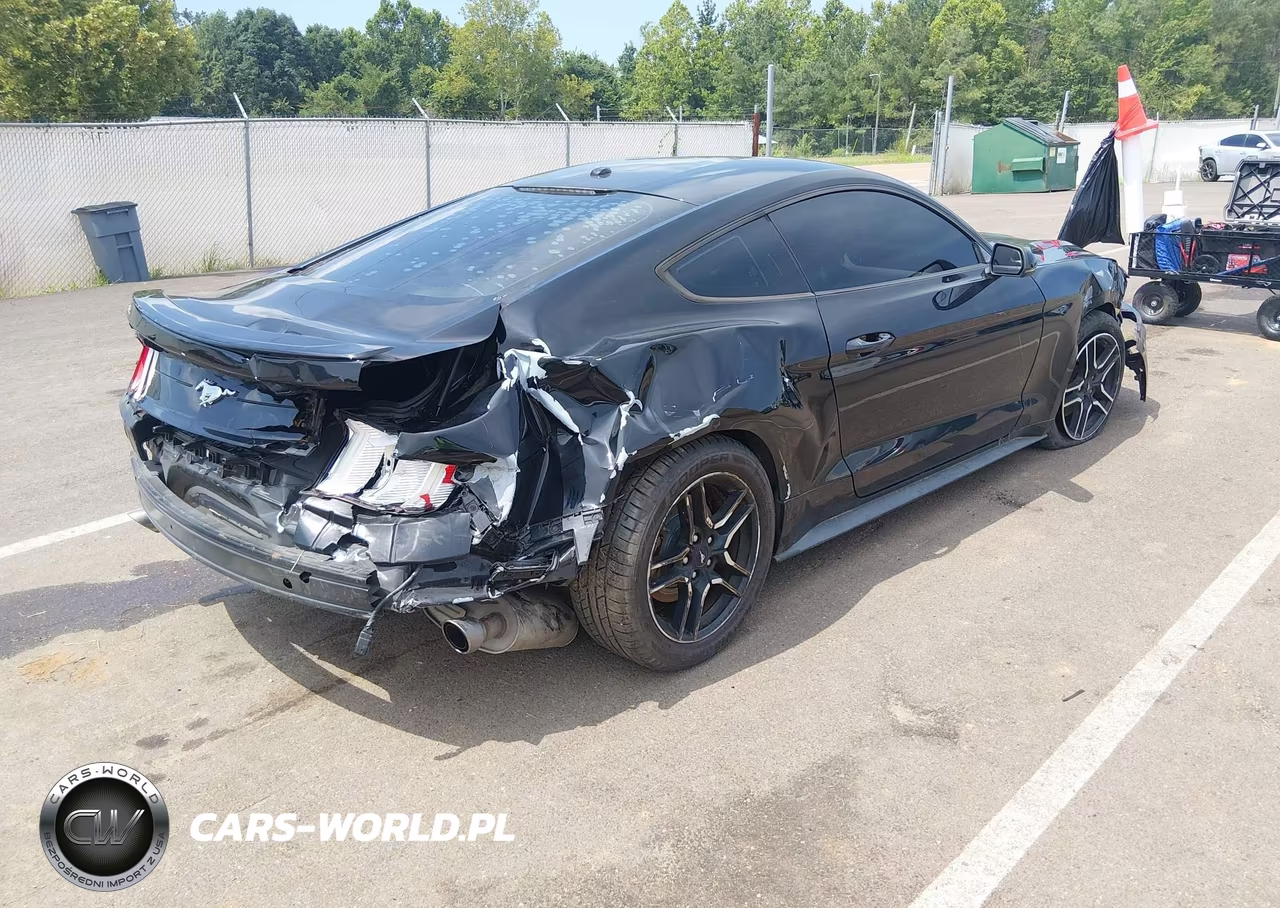2019 Ford Mustang Ecoboost Premium VIN:1FA6P8TH3K5118092 - 4