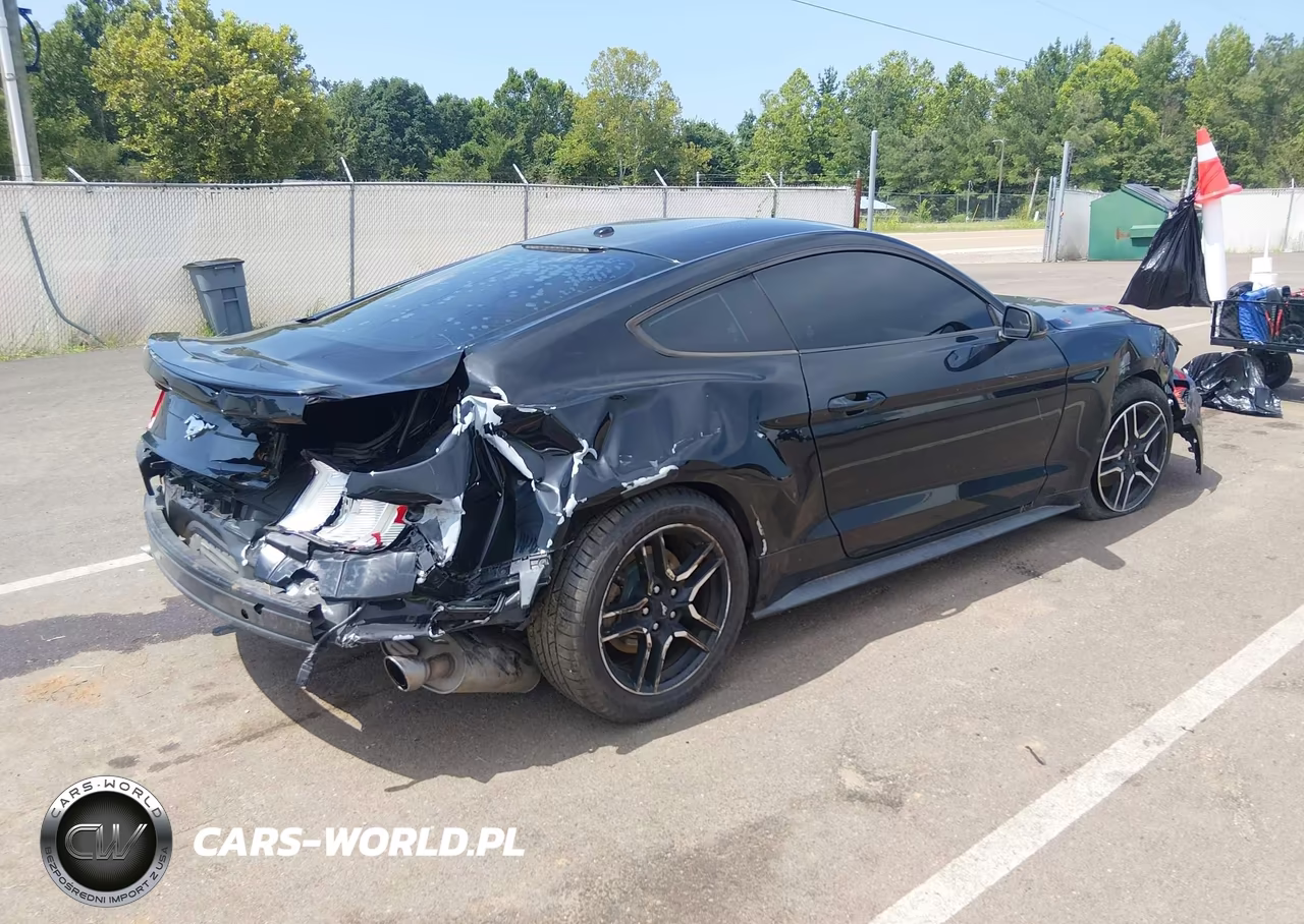 2019 Ford Mustang Ecoboost Premium VIN:1FA6P8TH3K5118092 - 6