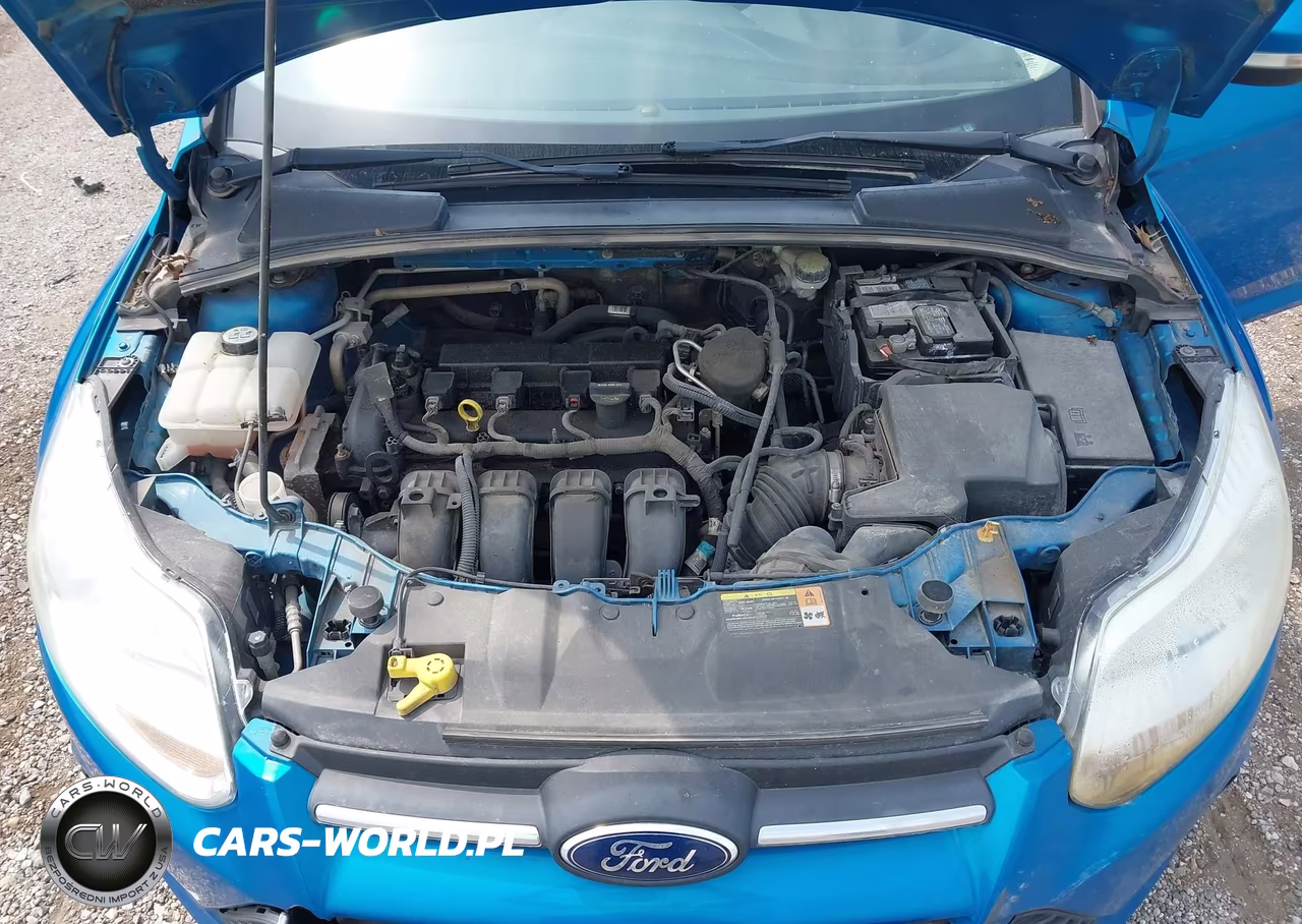 2013 Ford Focus Se VIN:1FADP3F2XDL209666 - 10