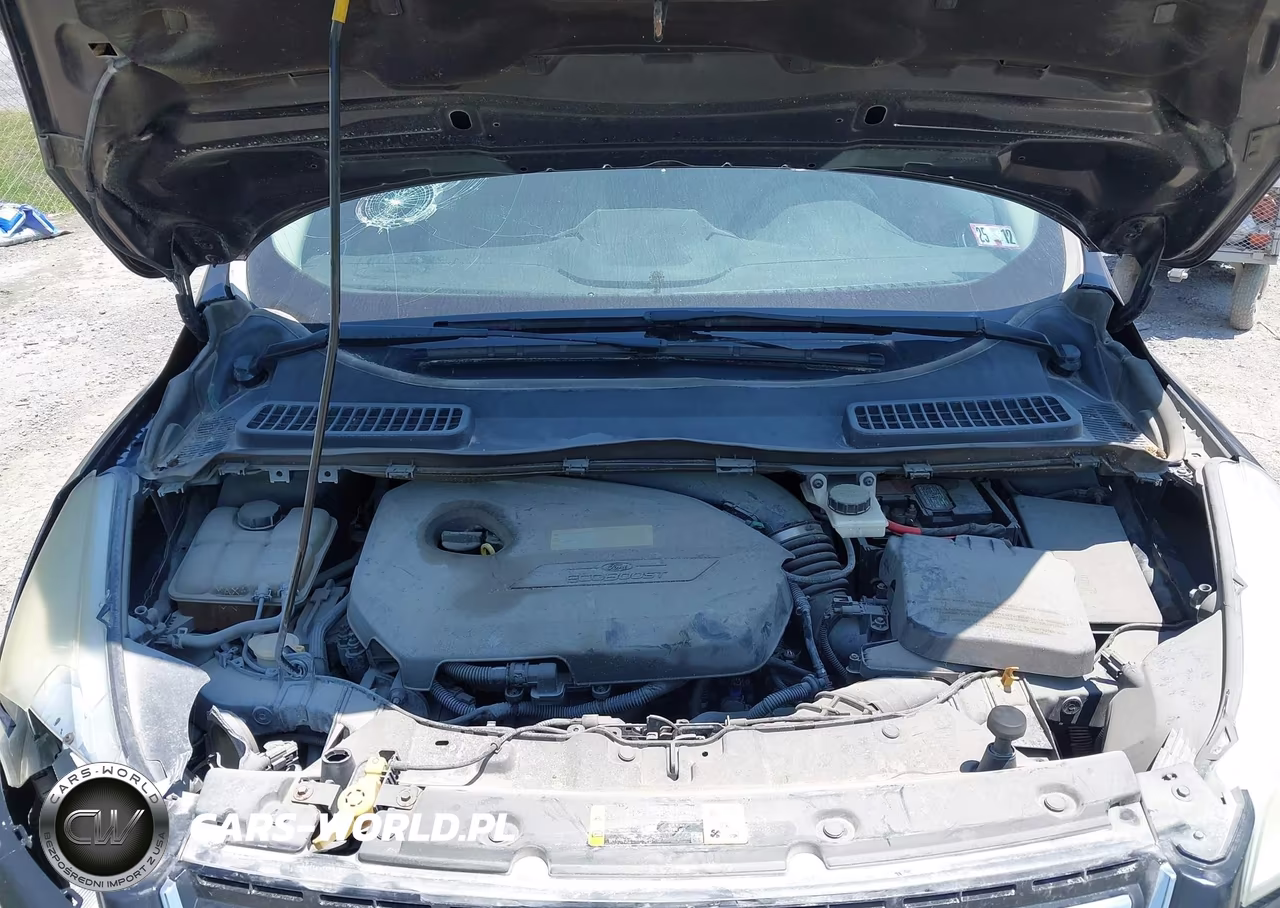 2013 Ford Escape Sel VIN:1FMCU9HX2DUC30902 - 10