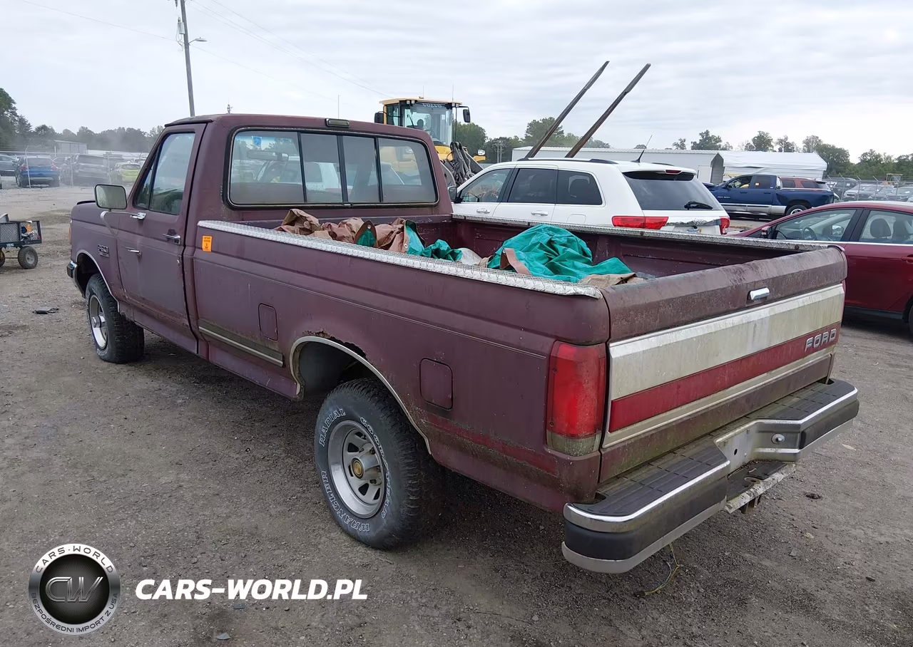 1990 Ford F150 VIN:1FTEF14Y5LNB18739 - 3