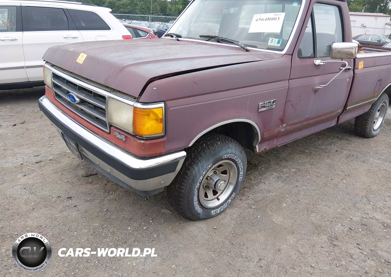 1990 Ford F150 VIN:1FTEF14Y5LNB18739 - 6