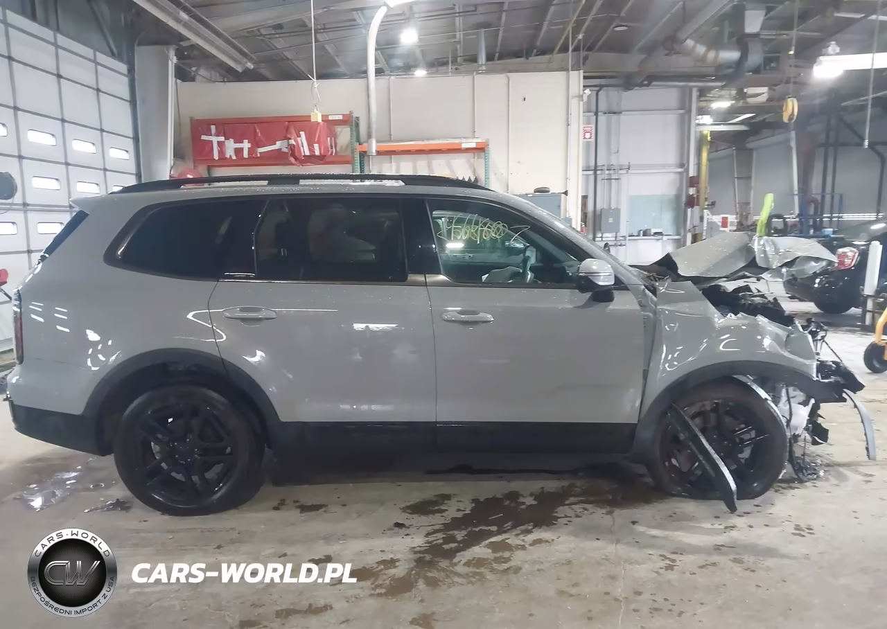2025 Kia Telluride Sx Prestige X-Line VIN:5XYP5DGC1SG661721 - 12