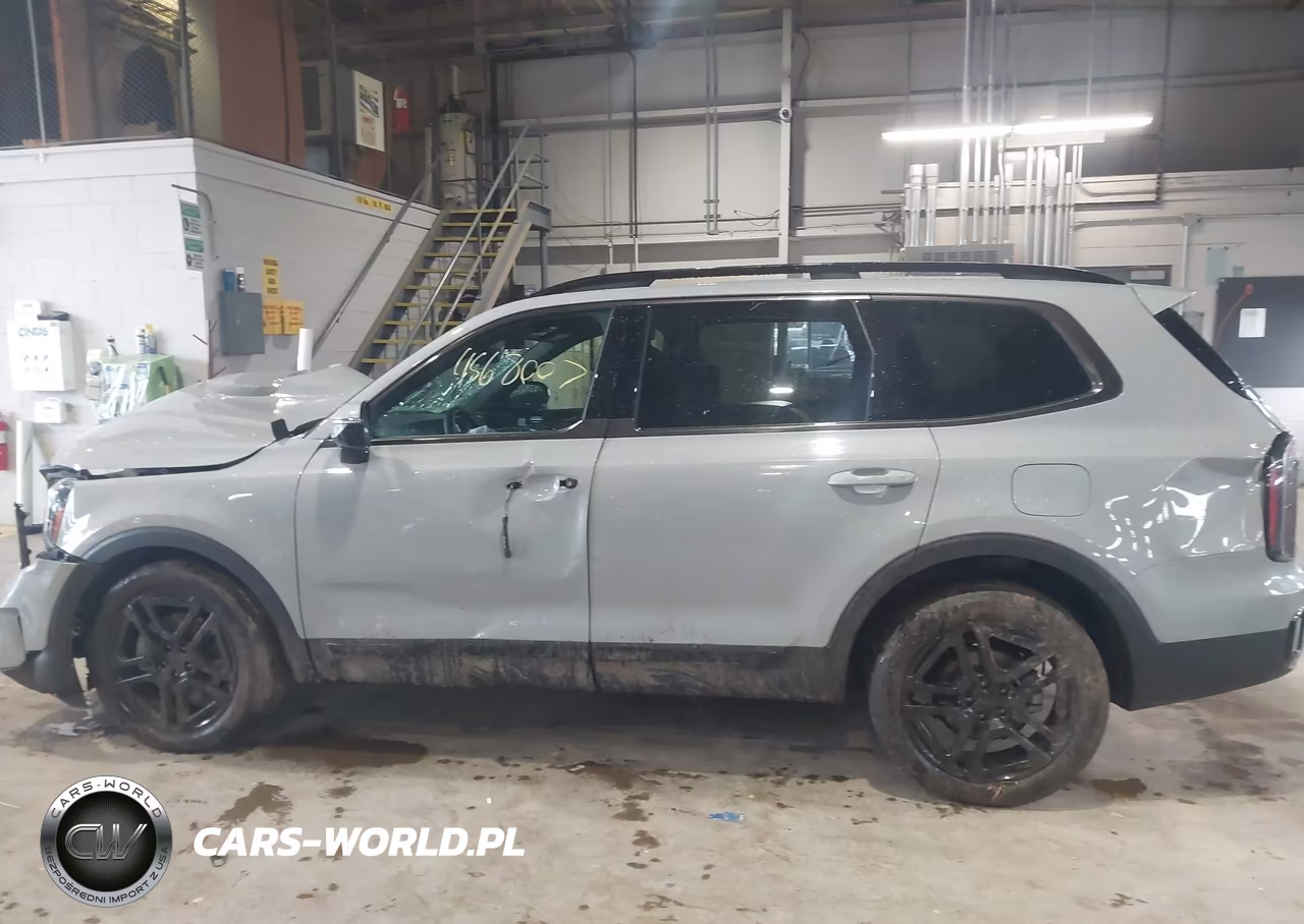 2025 Kia Telluride Sx Prestige X-Line VIN:5XYP5DGC1SG661721 - 13