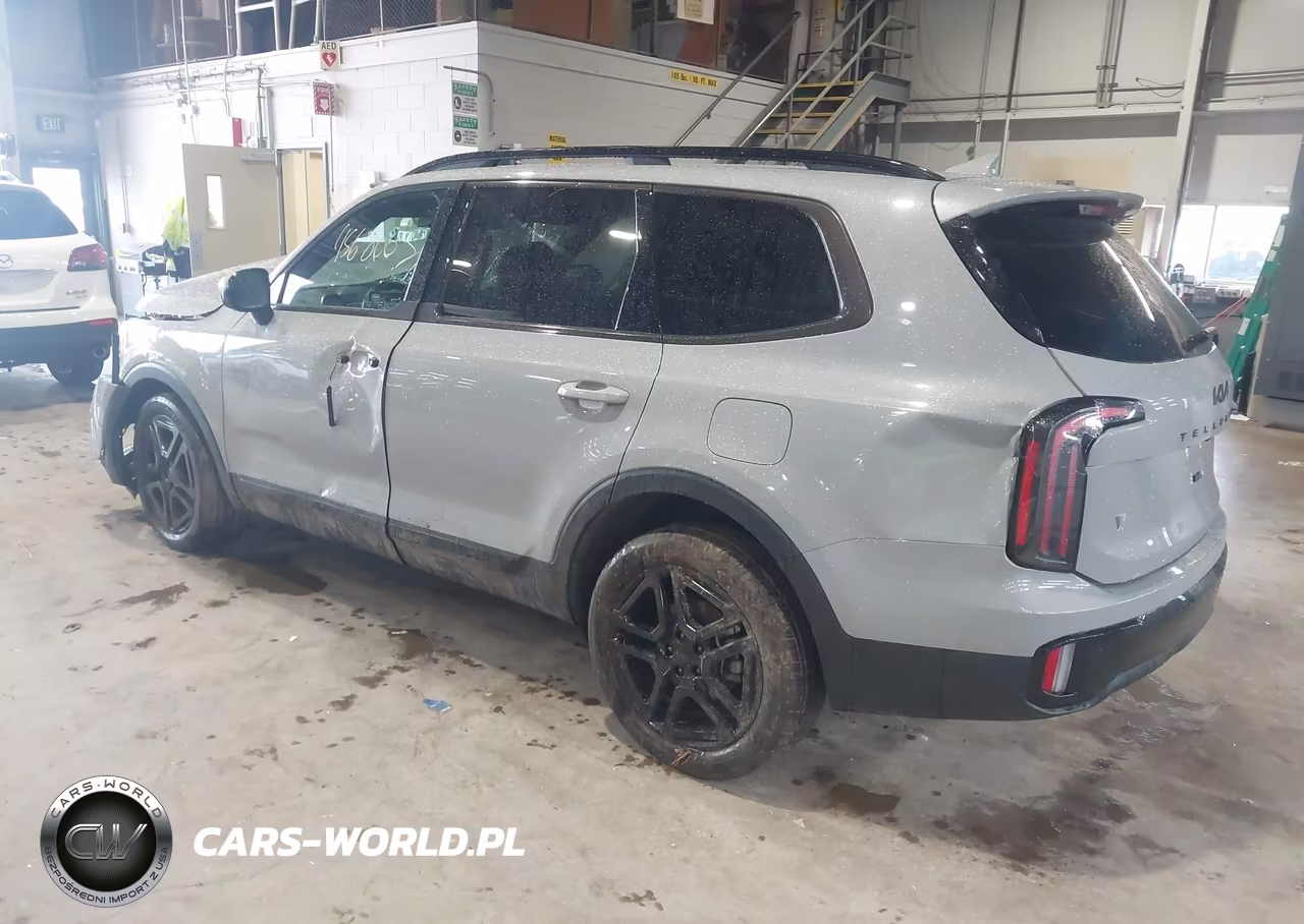 2025 Kia Telluride Sx Prestige X-Line VIN:5XYP5DGC1SG661721 - 3