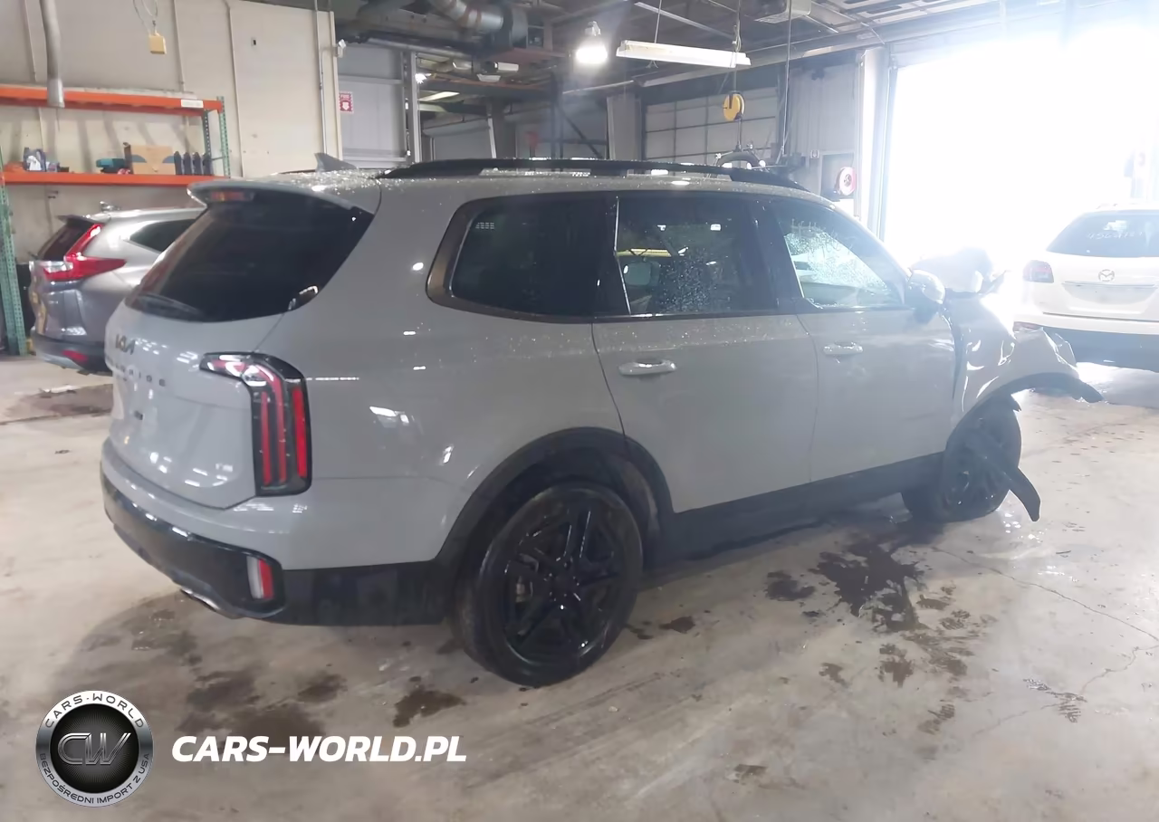 2025 Kia Telluride Sx Prestige X-Line VIN:5XYP5DGC1SG661721 - 4