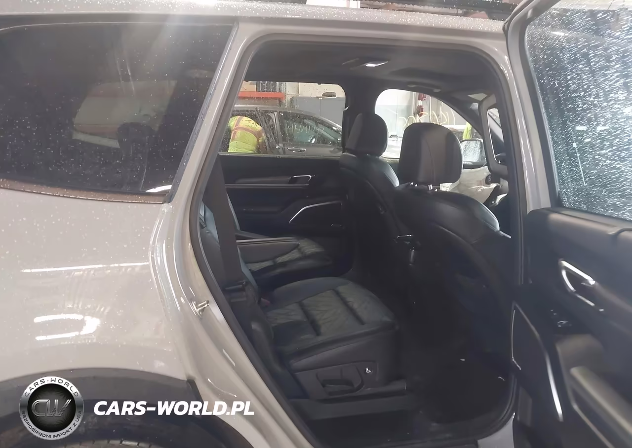 2025 Kia Telluride Sx Prestige X-Line VIN:5XYP5DGC1SG661721 - 8