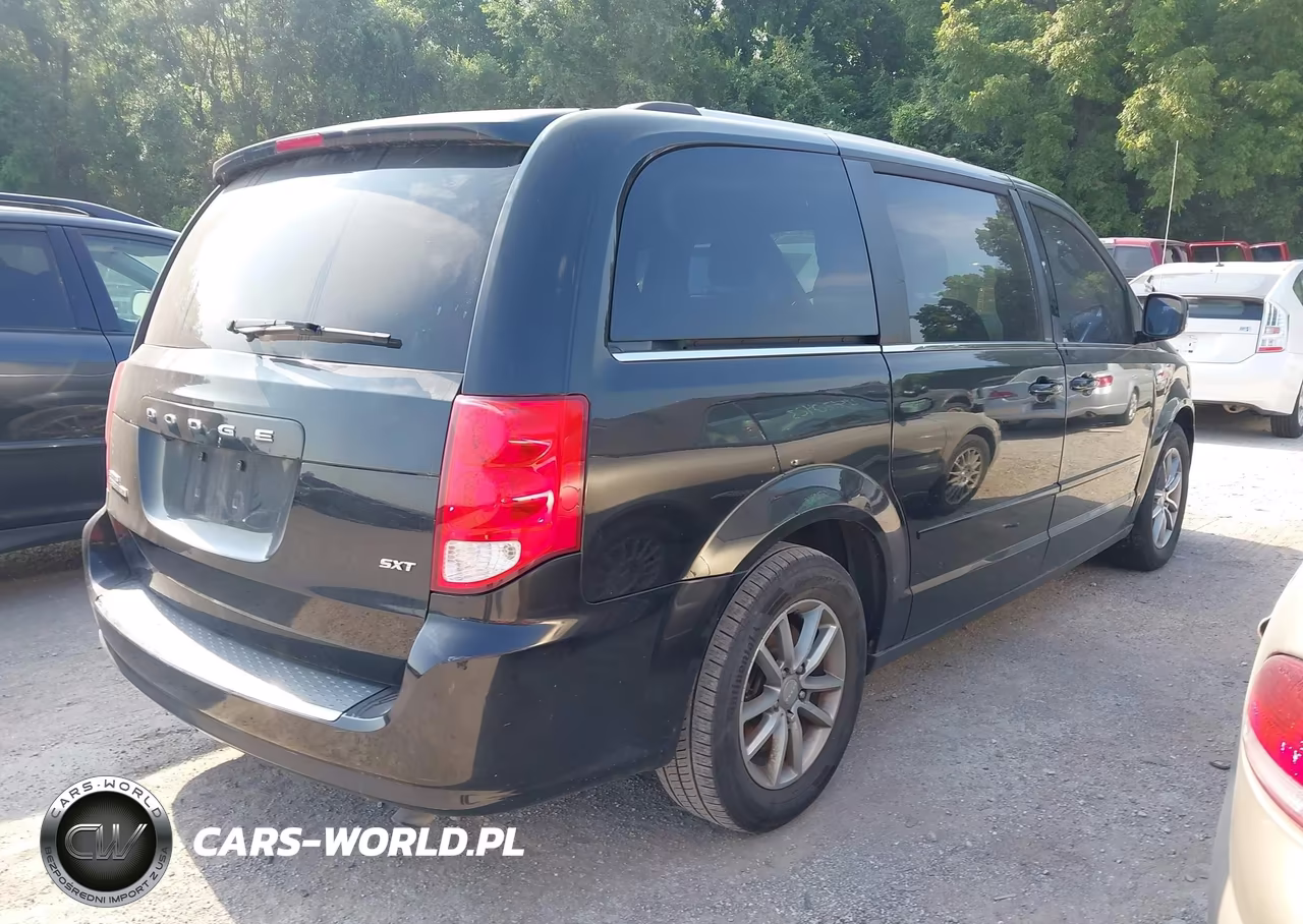 2014 Dodge Grand Caravan Sxt 30Th Anniversary VIN:2C4RDGCG7ER194262 - 4