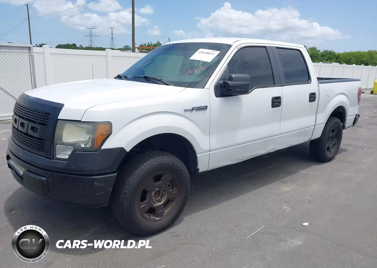 2009 Ford F-150 Xl-Xlt VIN:1FTRW12WX9FB01151 - 2
