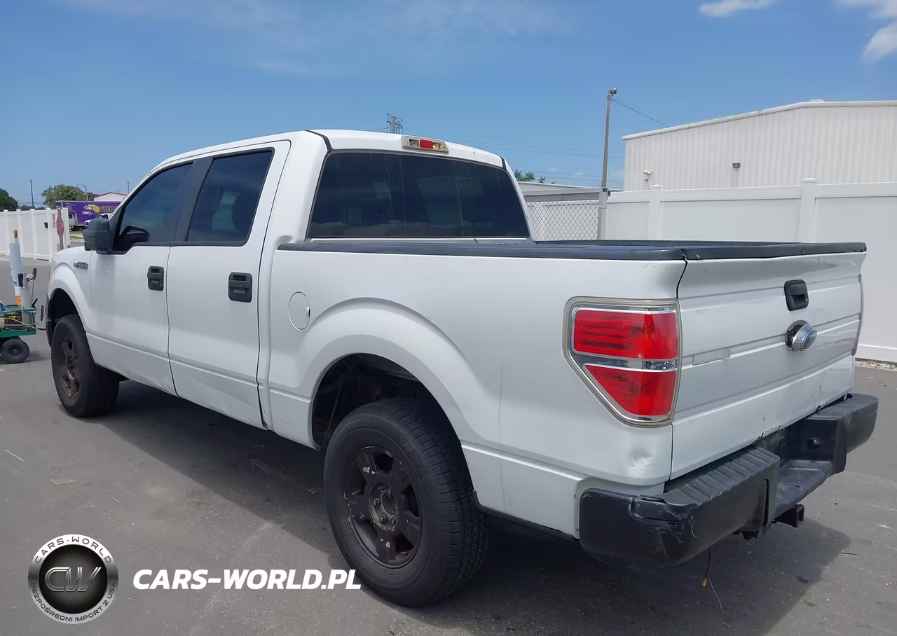 2009 Ford F-150 Xl-Xlt VIN:1FTRW12WX9FB01151 - 3