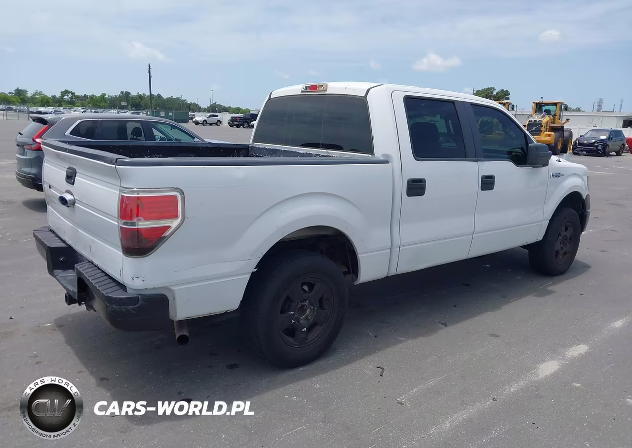 2009 Ford F-150 Xl-Xlt VIN:1FTRW12WX9FB01151 - 4