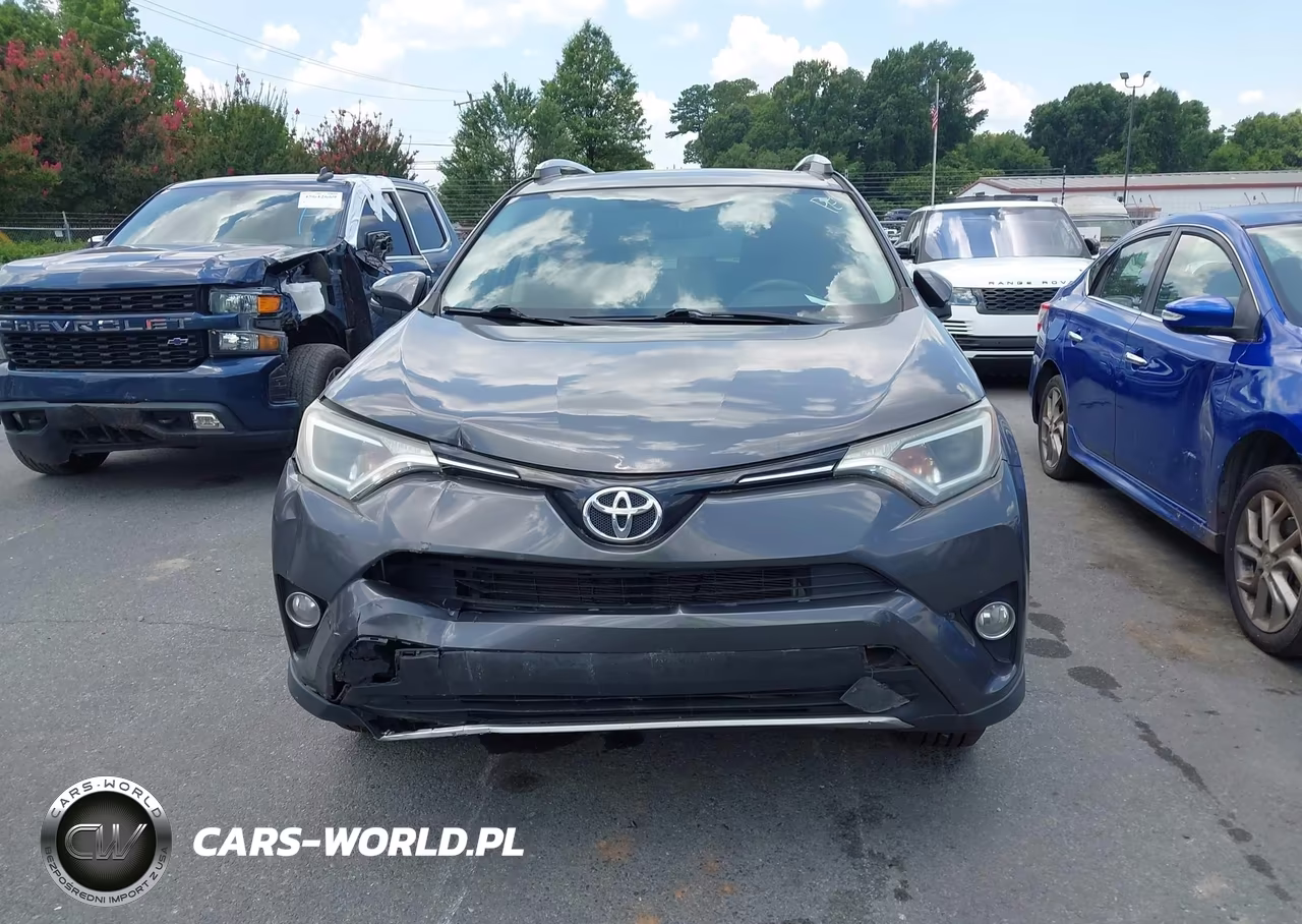 2016 Toyota Rav4 Xle VIN:2T3WFREV3GW252803 - 12