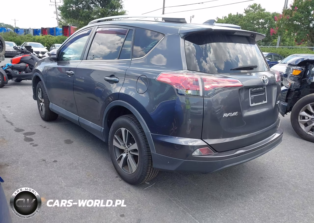 2016 Toyota Rav4 Xle VIN:2T3WFREV3GW252803 - 3