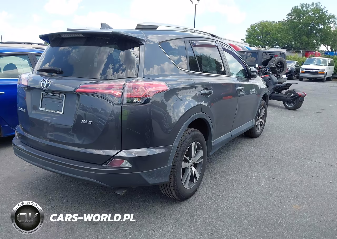 2016 Toyota Rav4 Xle VIN:2T3WFREV3GW252803 - 4