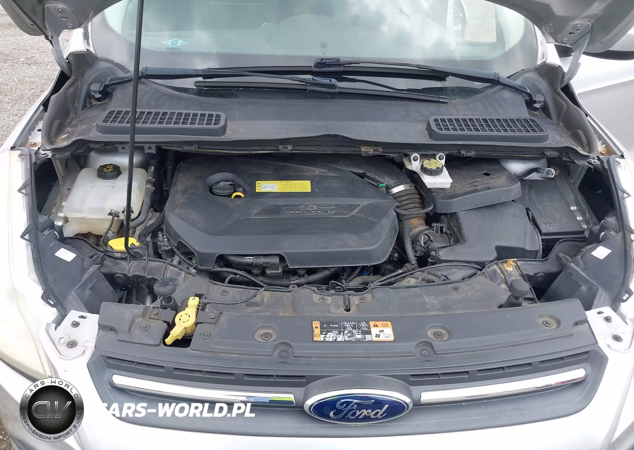 2014 Ford Escape Se VIN:1FMCU0GX2EUC27934 - 10