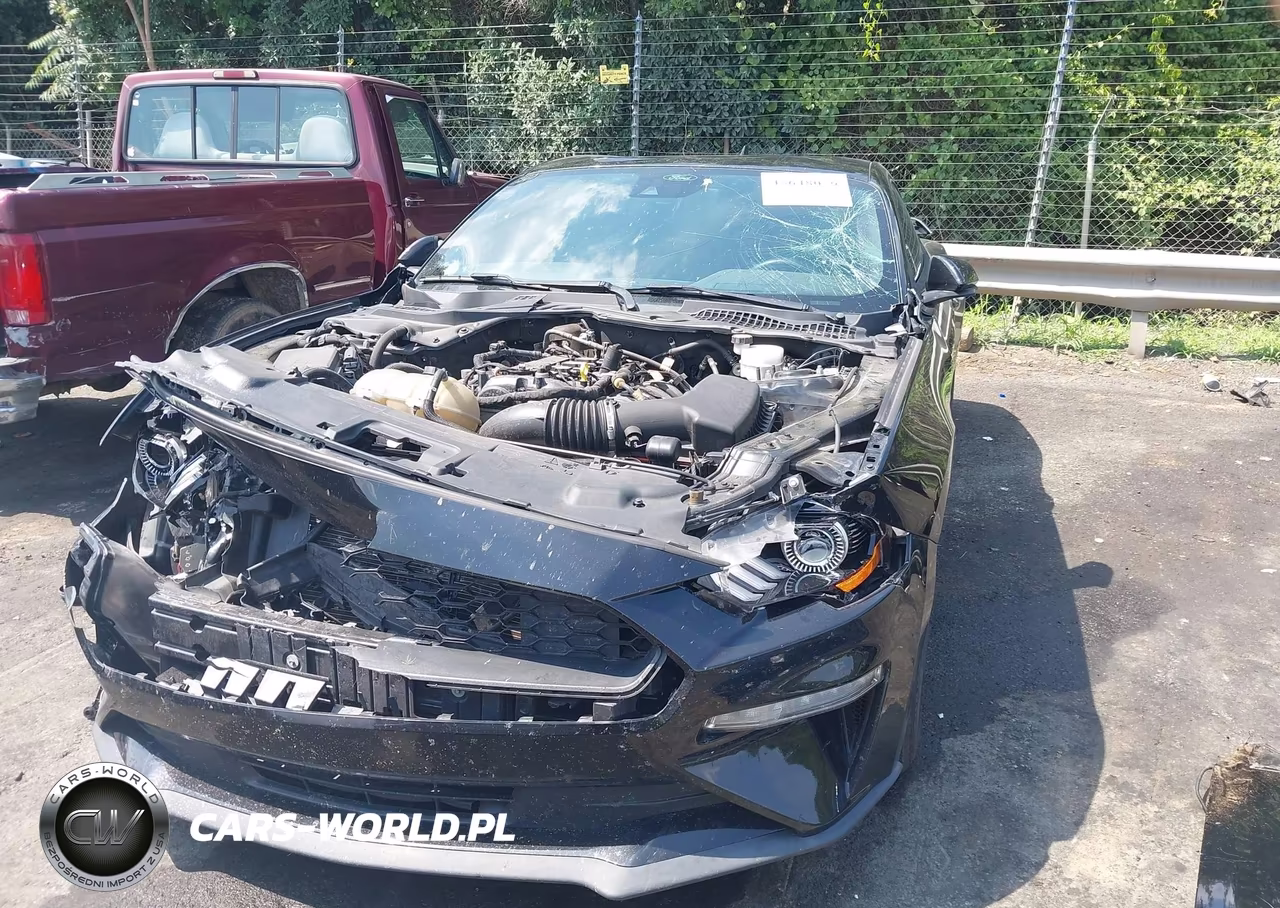 2022 Ford Mustang Ecoboost Fastback VIN:1FA6P8TH9N5121311 - 13