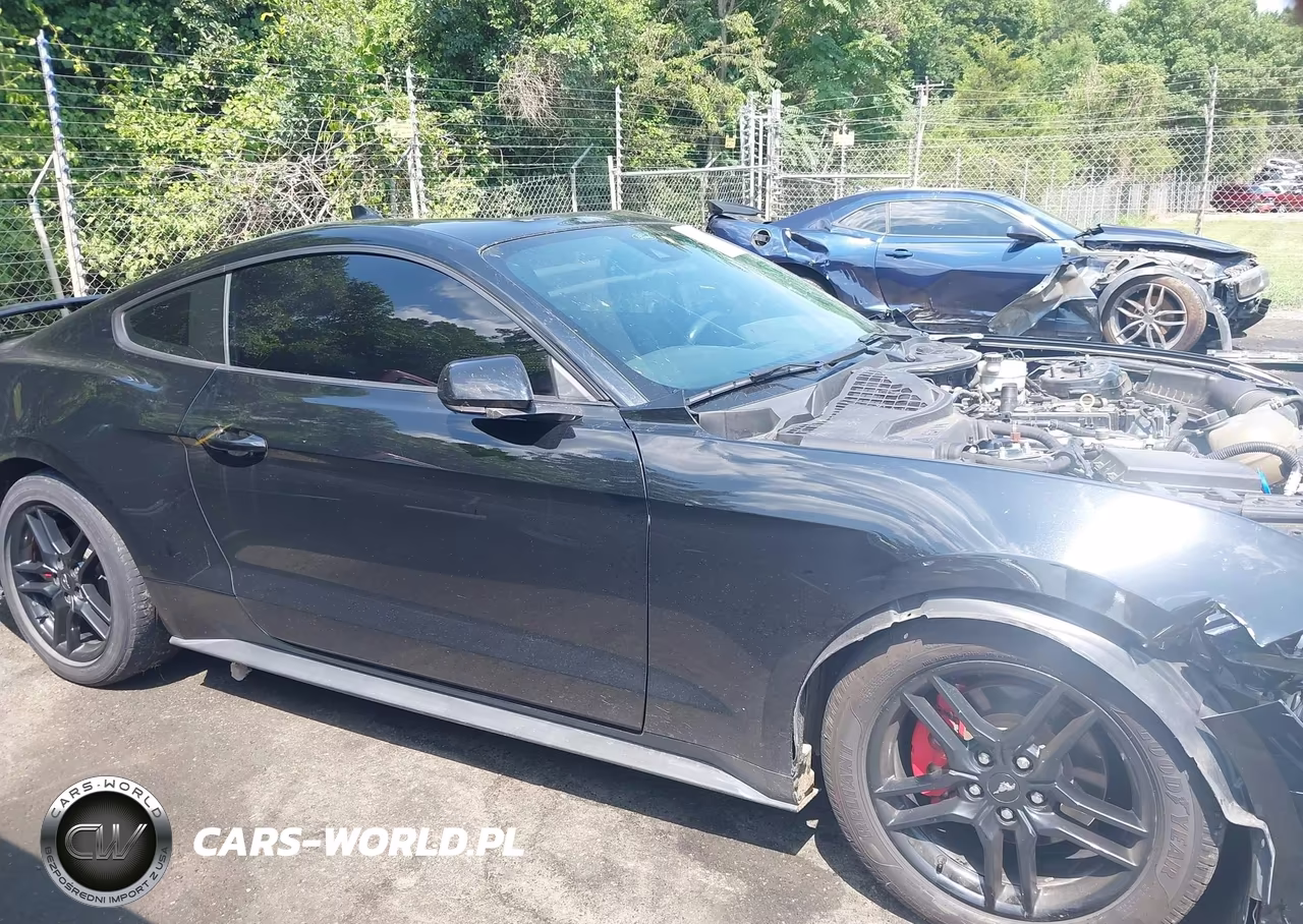 2022 Ford Mustang Ecoboost Fastback VIN:1FA6P8TH9N5121311 - 14