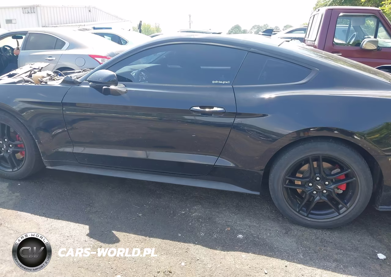 2022 Ford Mustang Ecoboost Fastback VIN:1FA6P8TH9N5121311 - 15