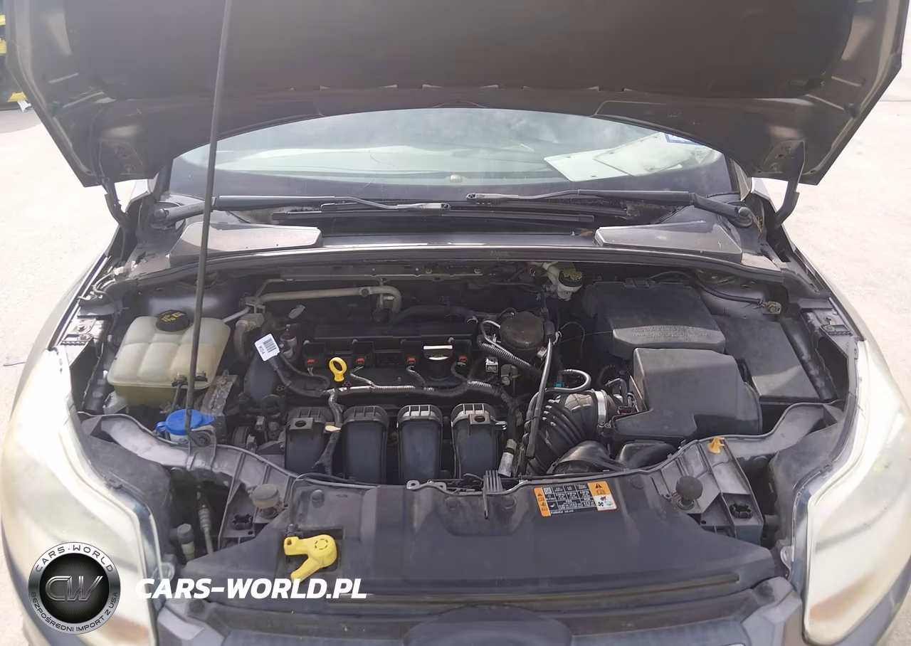 2014 Ford Focus Se VIN:1FADP3F26EL293504 - 10