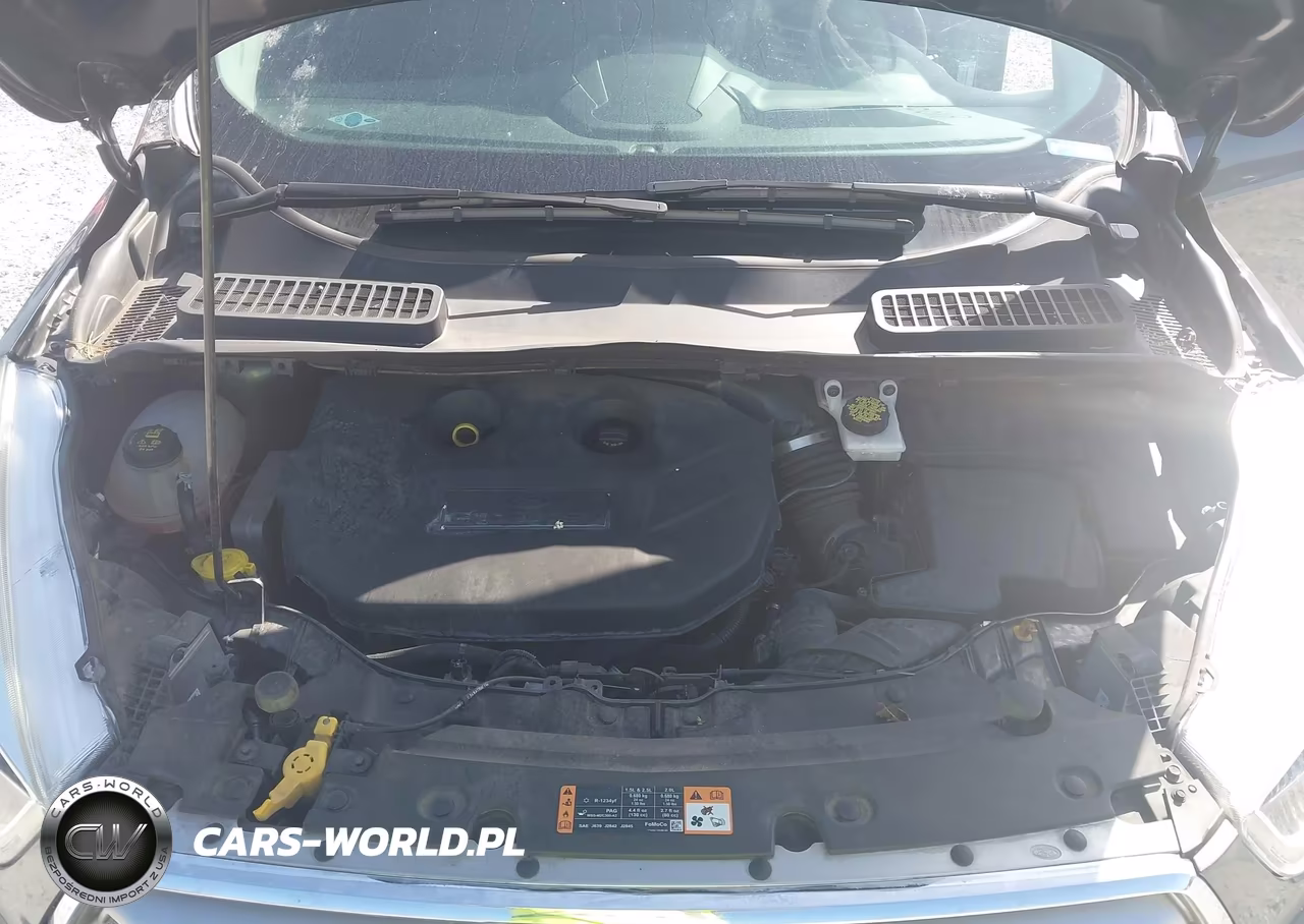 2017 Ford Escape Titanium VIN:1FMCU0J99HUB19454 - 10