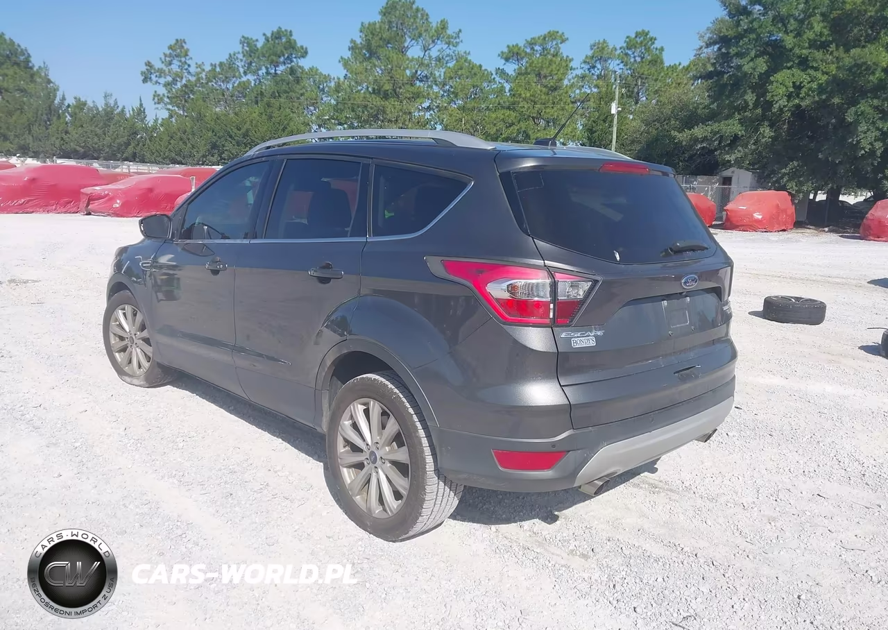 2017 Ford Escape Titanium VIN:1FMCU0J99HUB19454 - 3