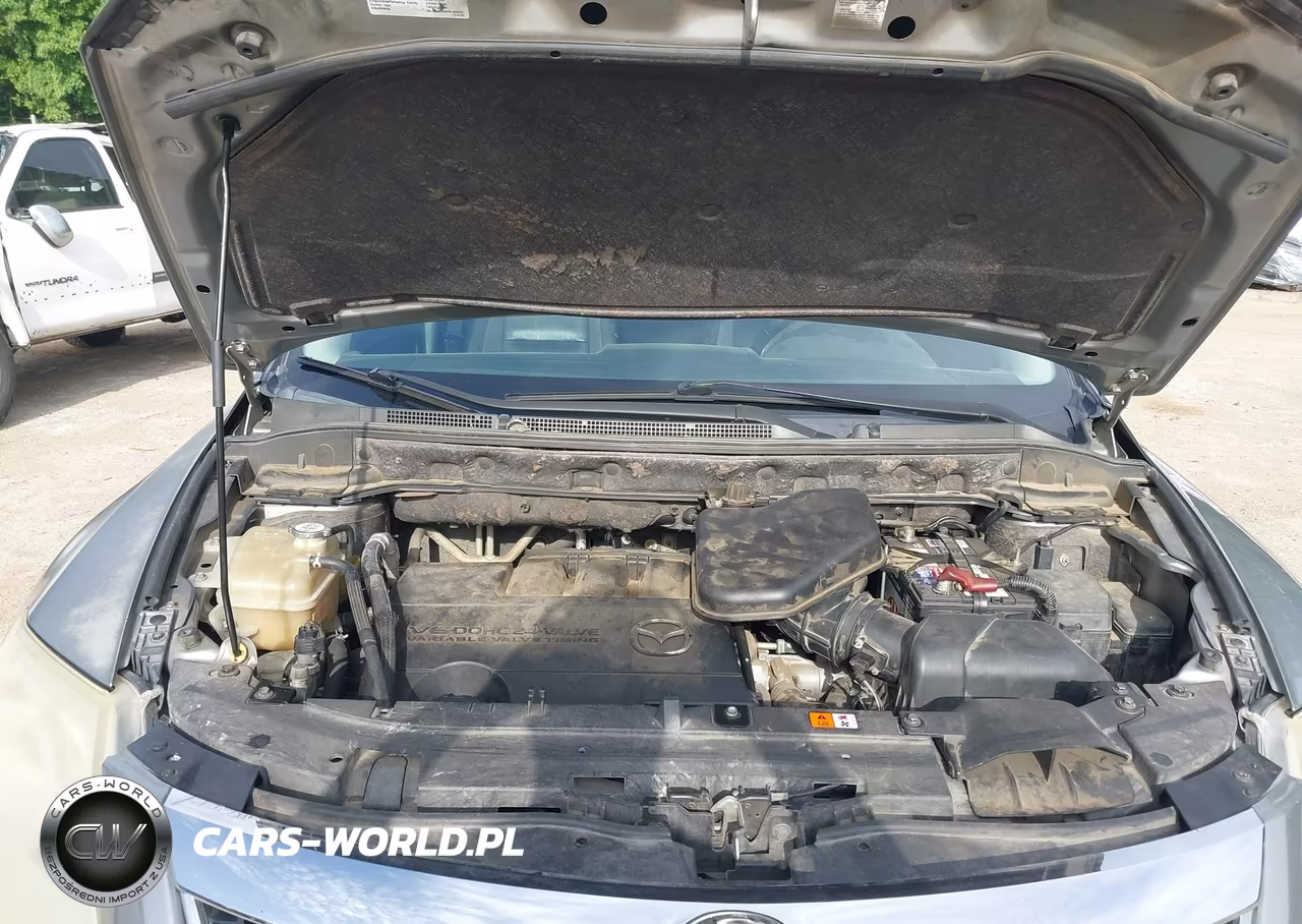 2010 Mazda Cx-9 Touring VIN:JM3TB2MV8A0237322 - 10