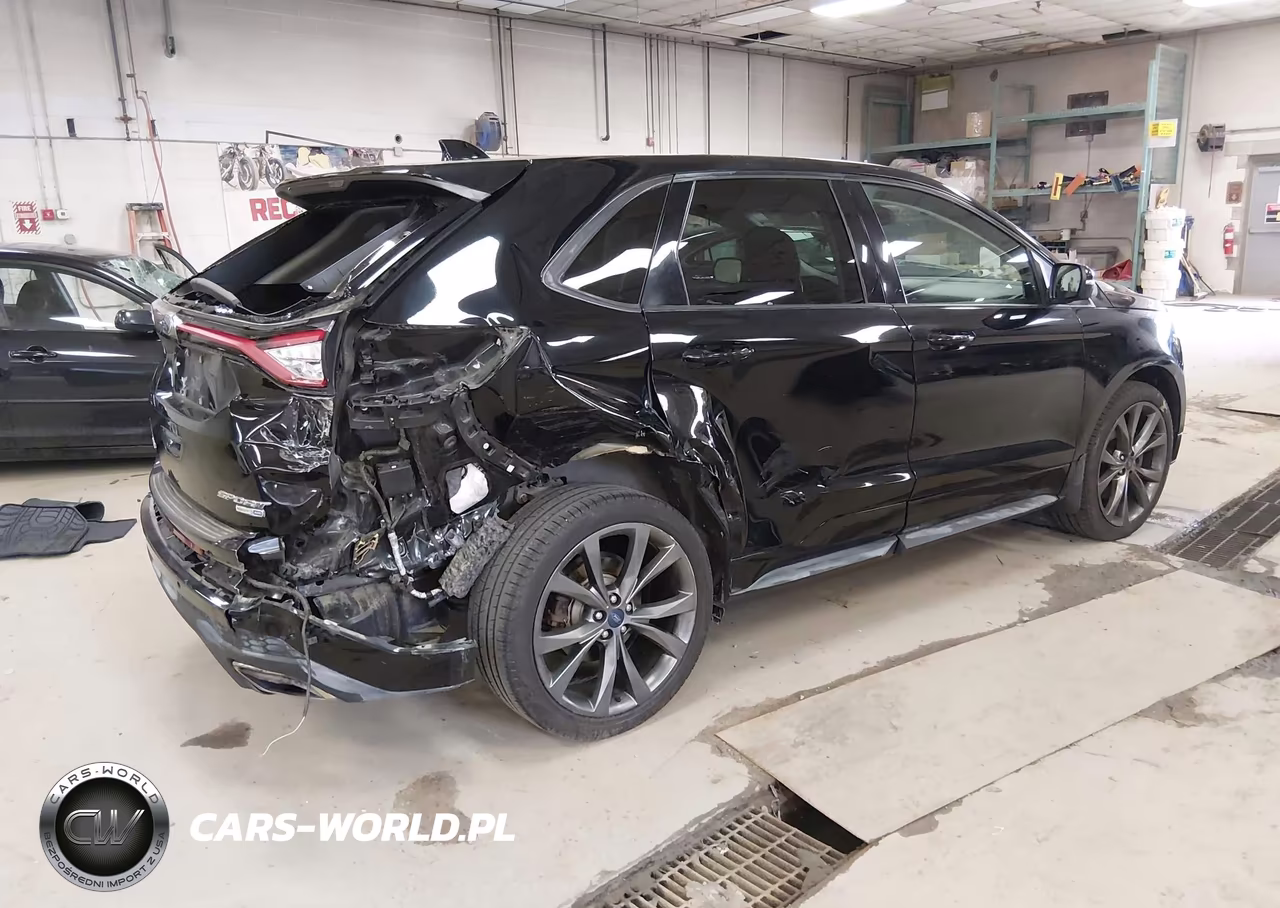 2016 Ford Edge Sport VIN:2FMPK4AP8GBB69747 - 4