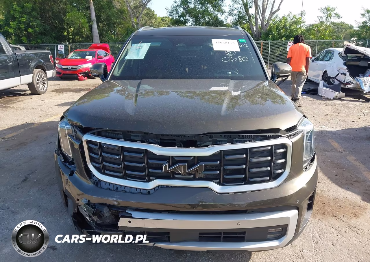 2024 Kia Telluride Sx VIN:5XYP54GC1RG440680 - 12