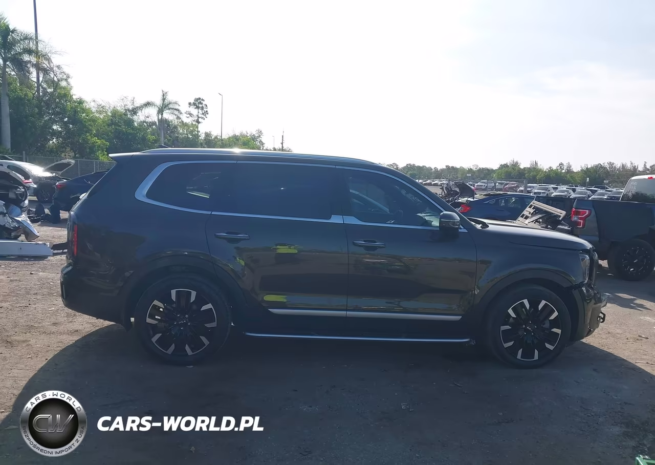 2024 Kia Telluride Sx VIN:5XYP54GC1RG440680 - 13