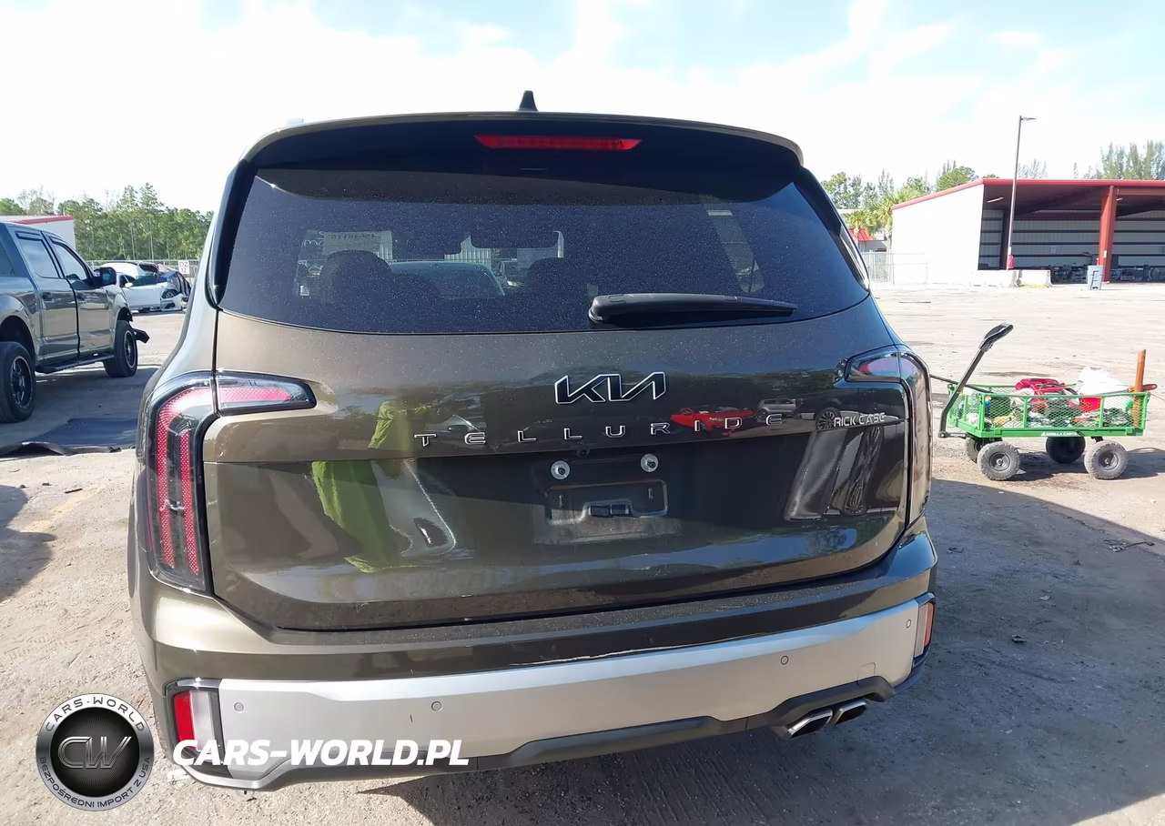 2024 Kia Telluride Sx VIN:5XYP54GC1RG440680 - 16