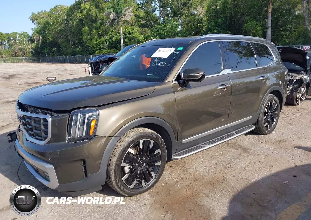 2024 Kia Telluride Sx VIN:5XYP54GC1RG440680 - 2