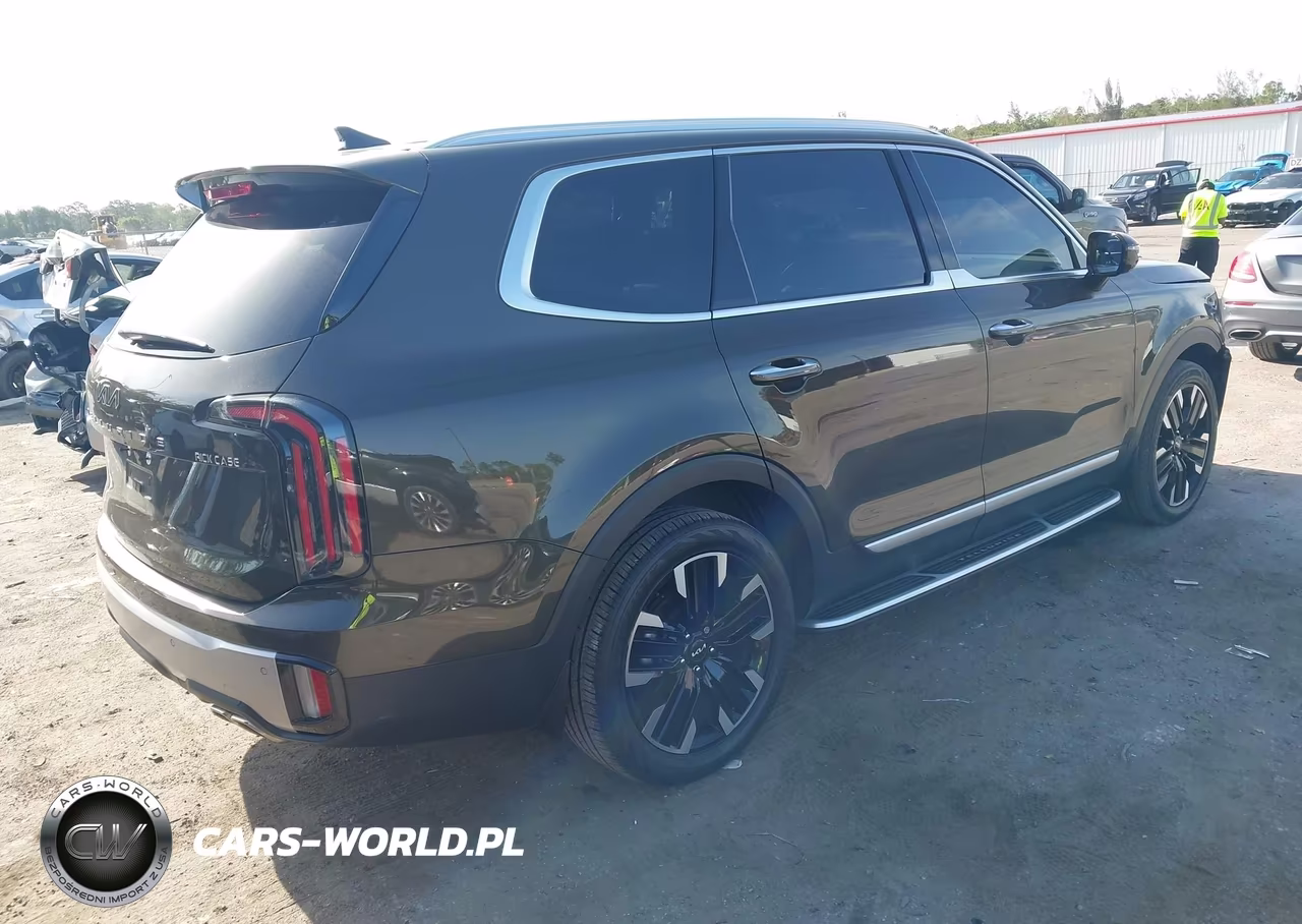2024 Kia Telluride Sx VIN:5XYP54GC1RG440680 - 4